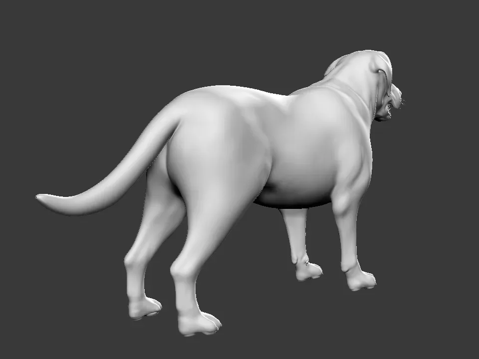 Labrador Dog - Topology + UV Map