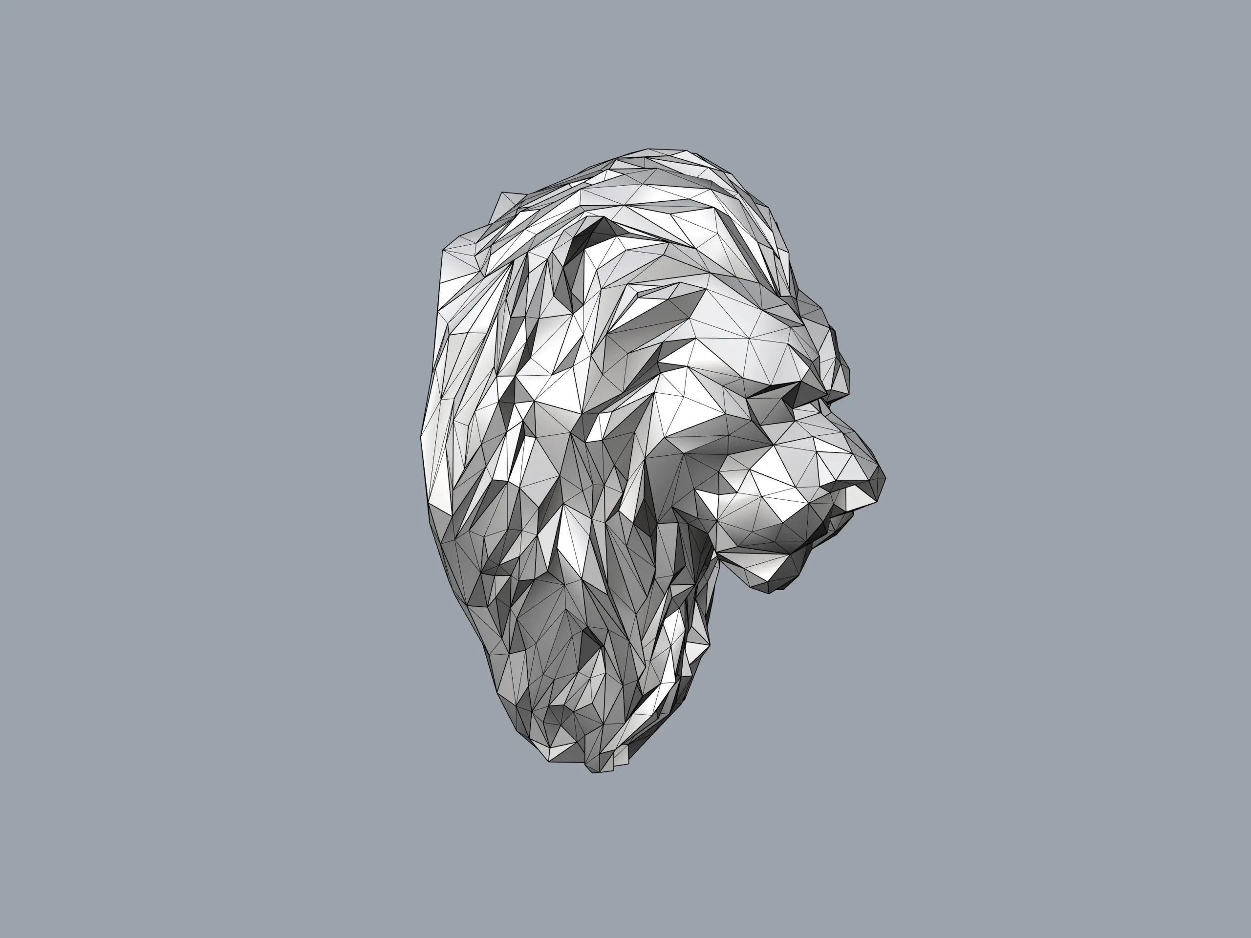 Low poly Lion 3d Model