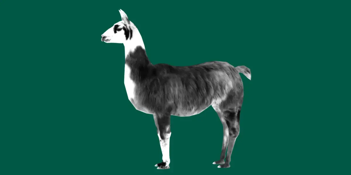 Llama