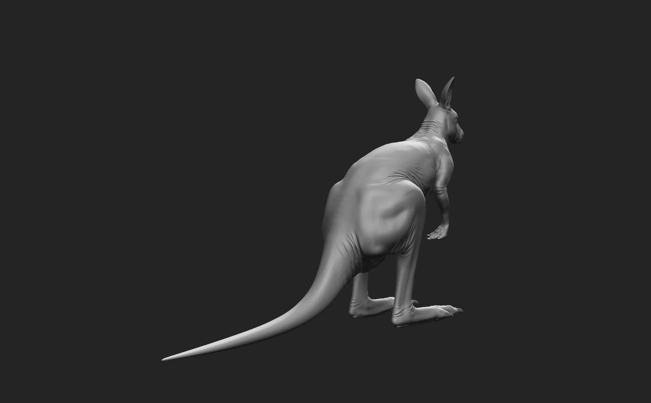 Kangaroo Male - Topology + UV Map