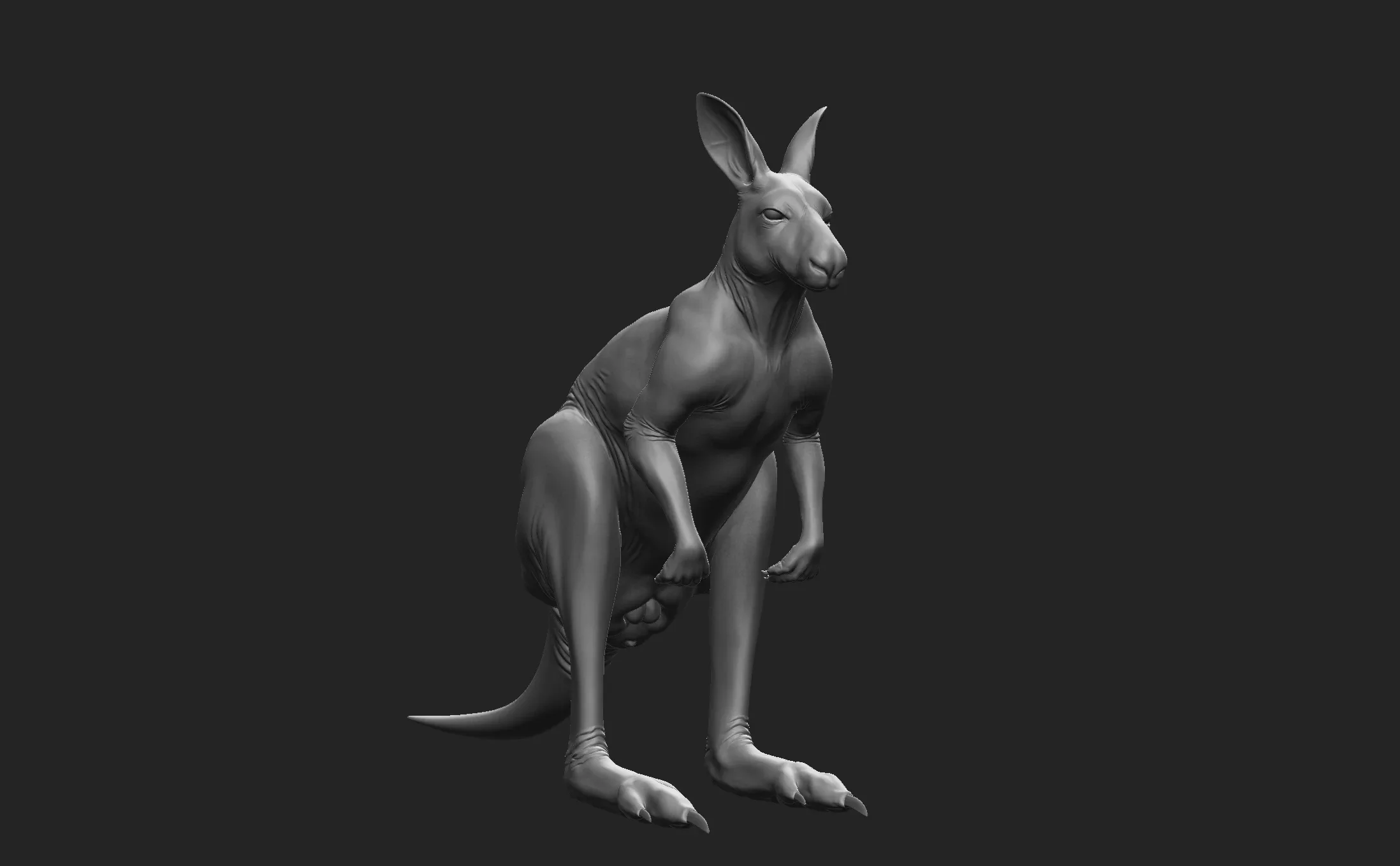 Kangaroo Male - Topology + UV Map