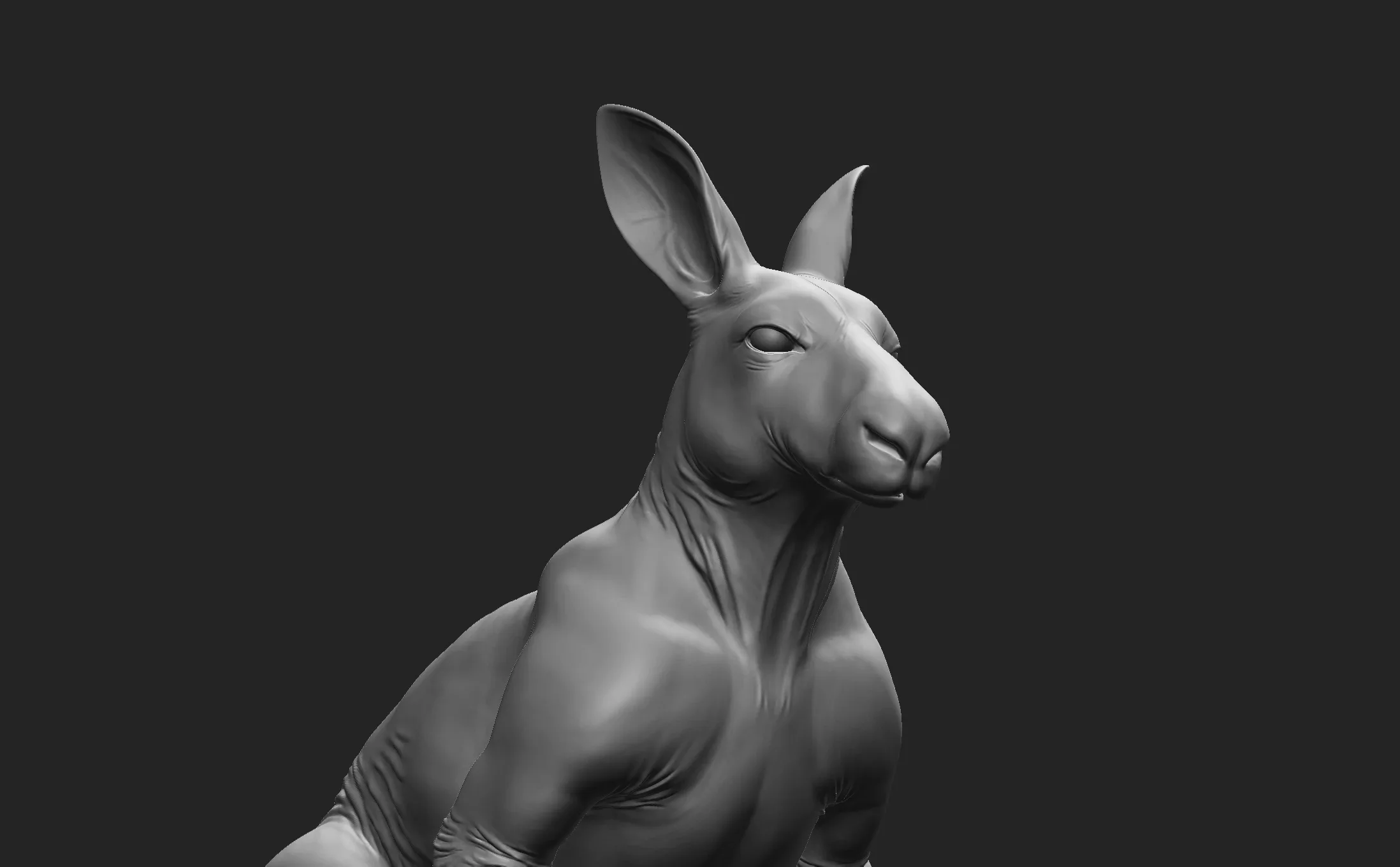 Kangaroo Male - Topology + UV Map