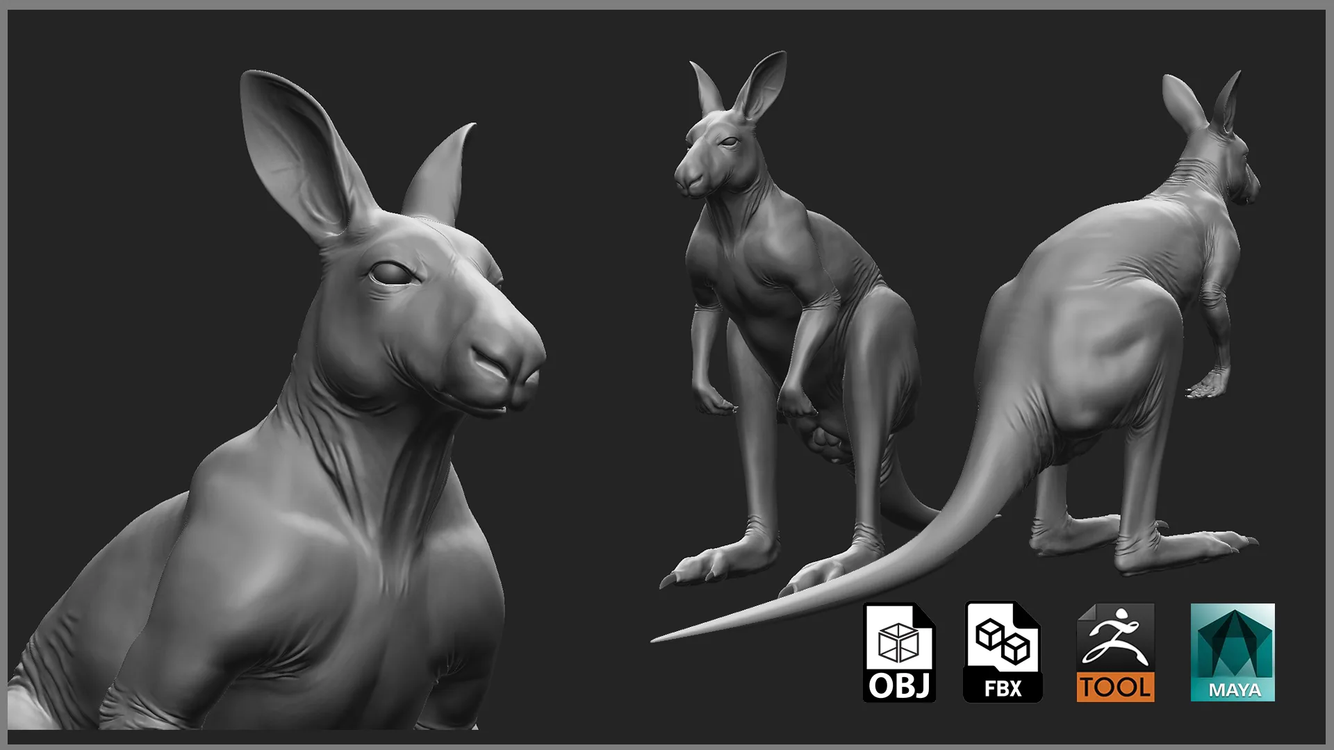 Kangaroo Family - Topology + UV Map