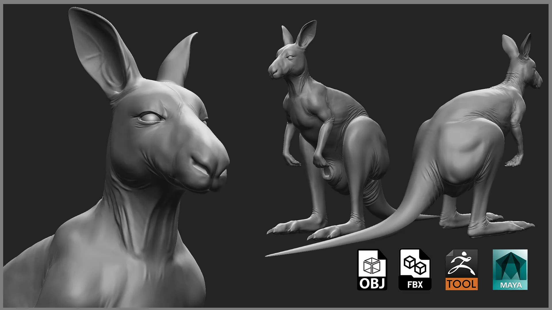 Kangaroo Family - Topology + UV Map