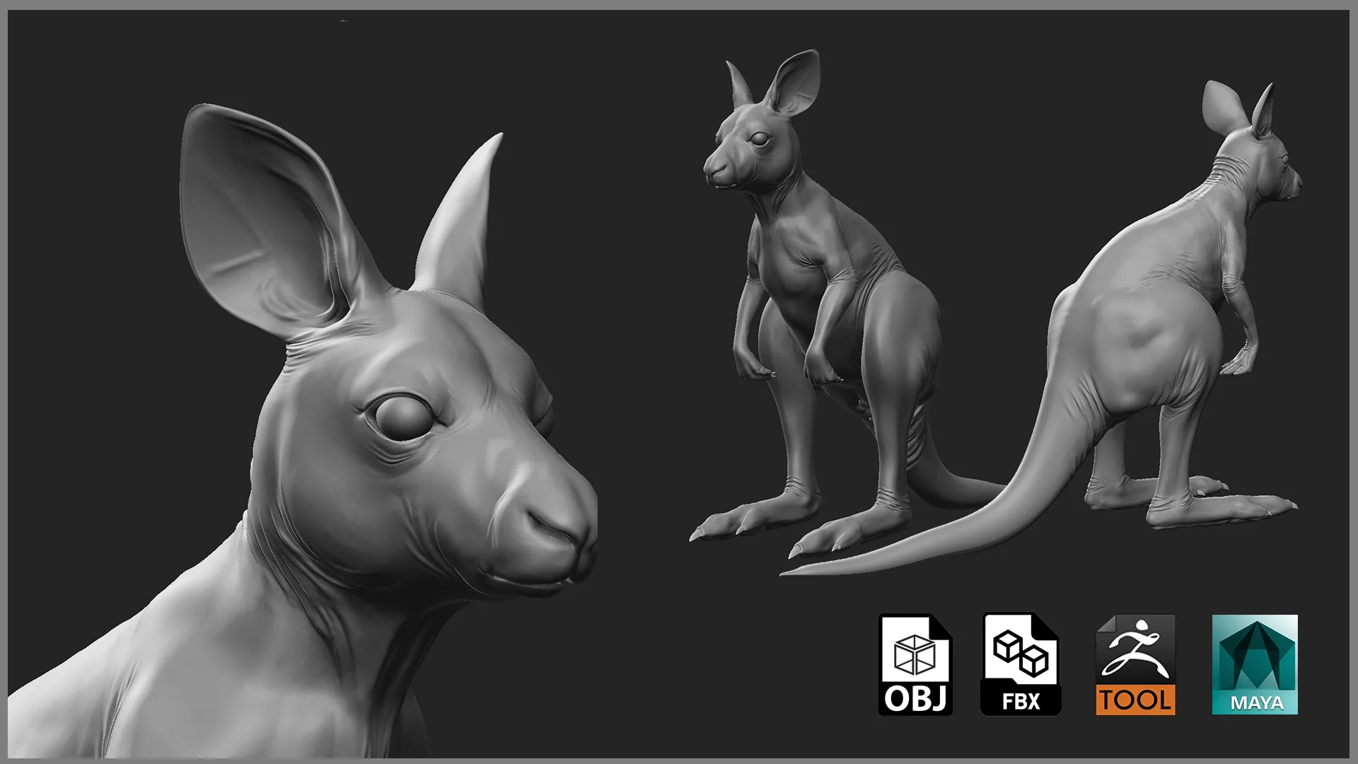 Kangaroo Family - Topology + UV Map