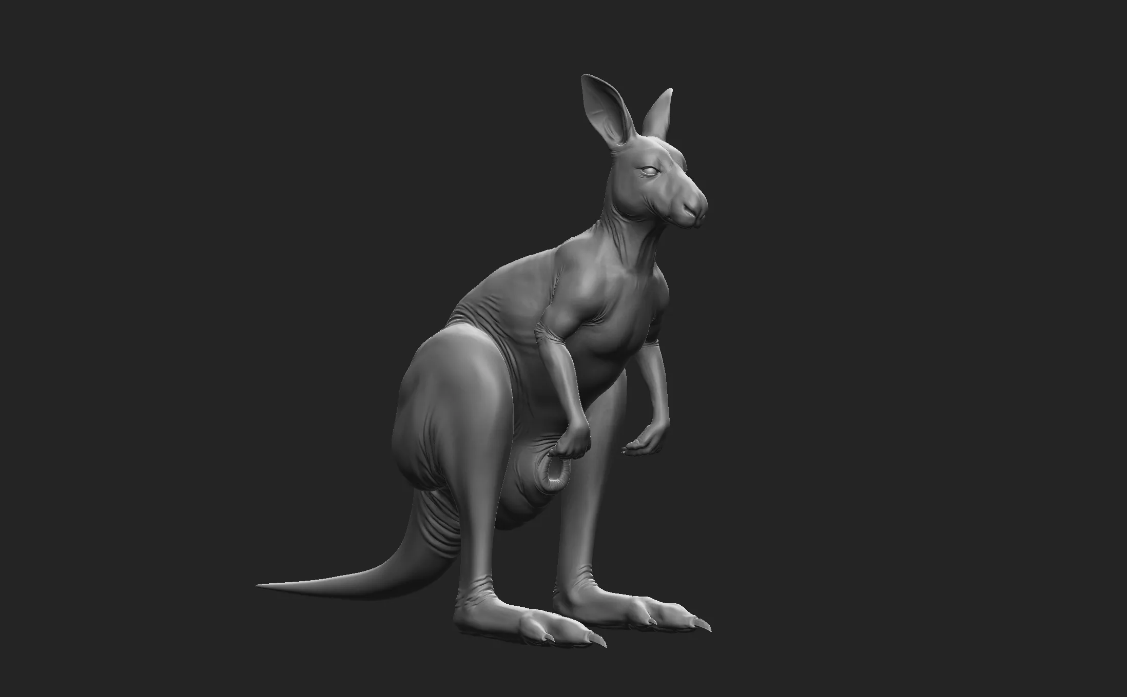 Kangaroo Family - Topology + UV Map