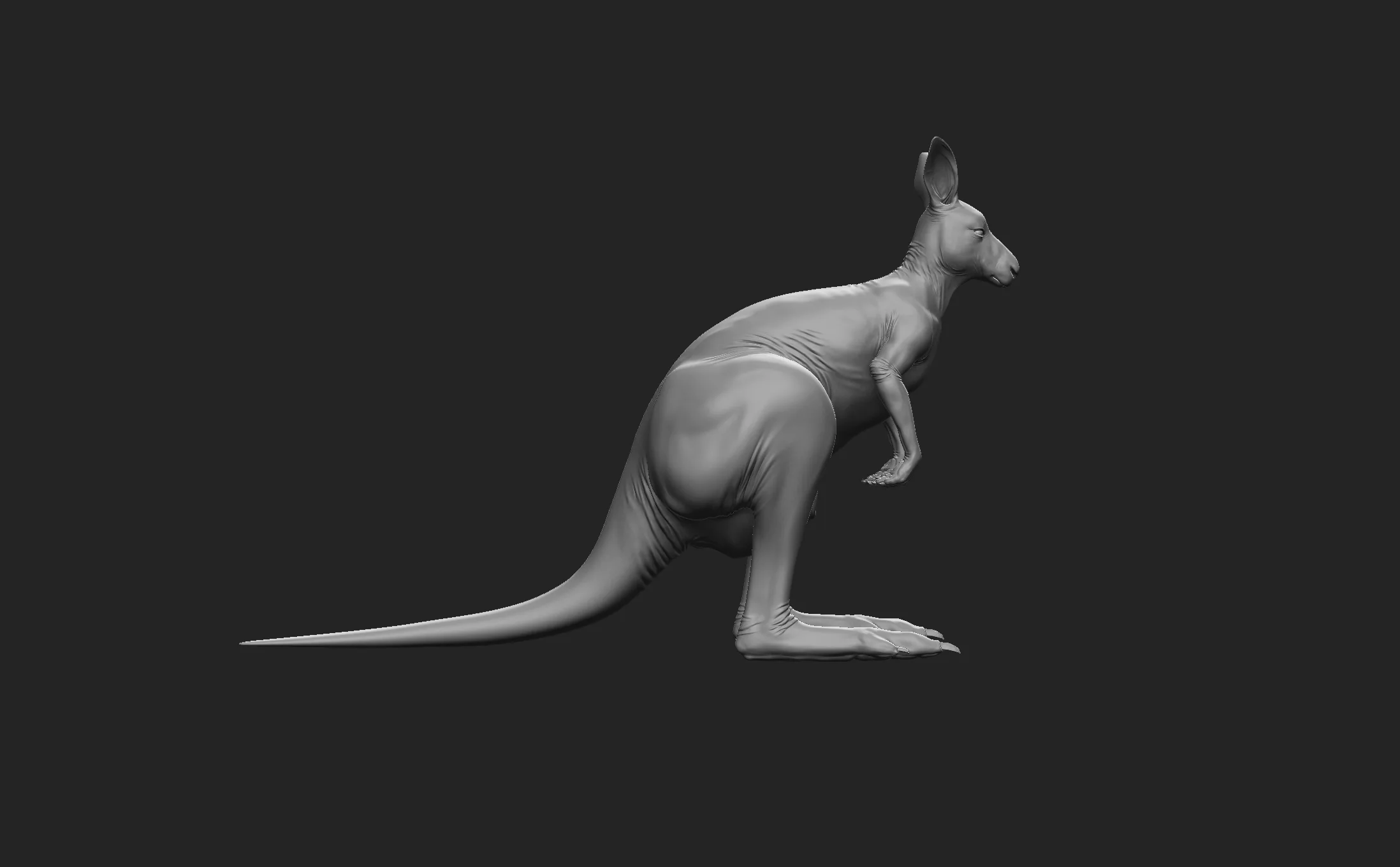 Kangaroo Family - Topology + UV Map