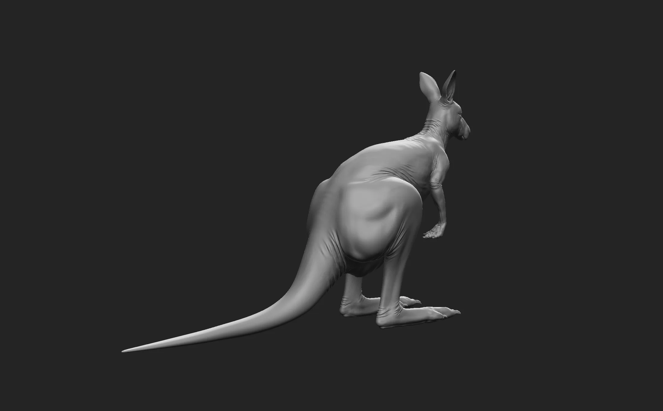 Kangaroo Family - Topology + UV Map