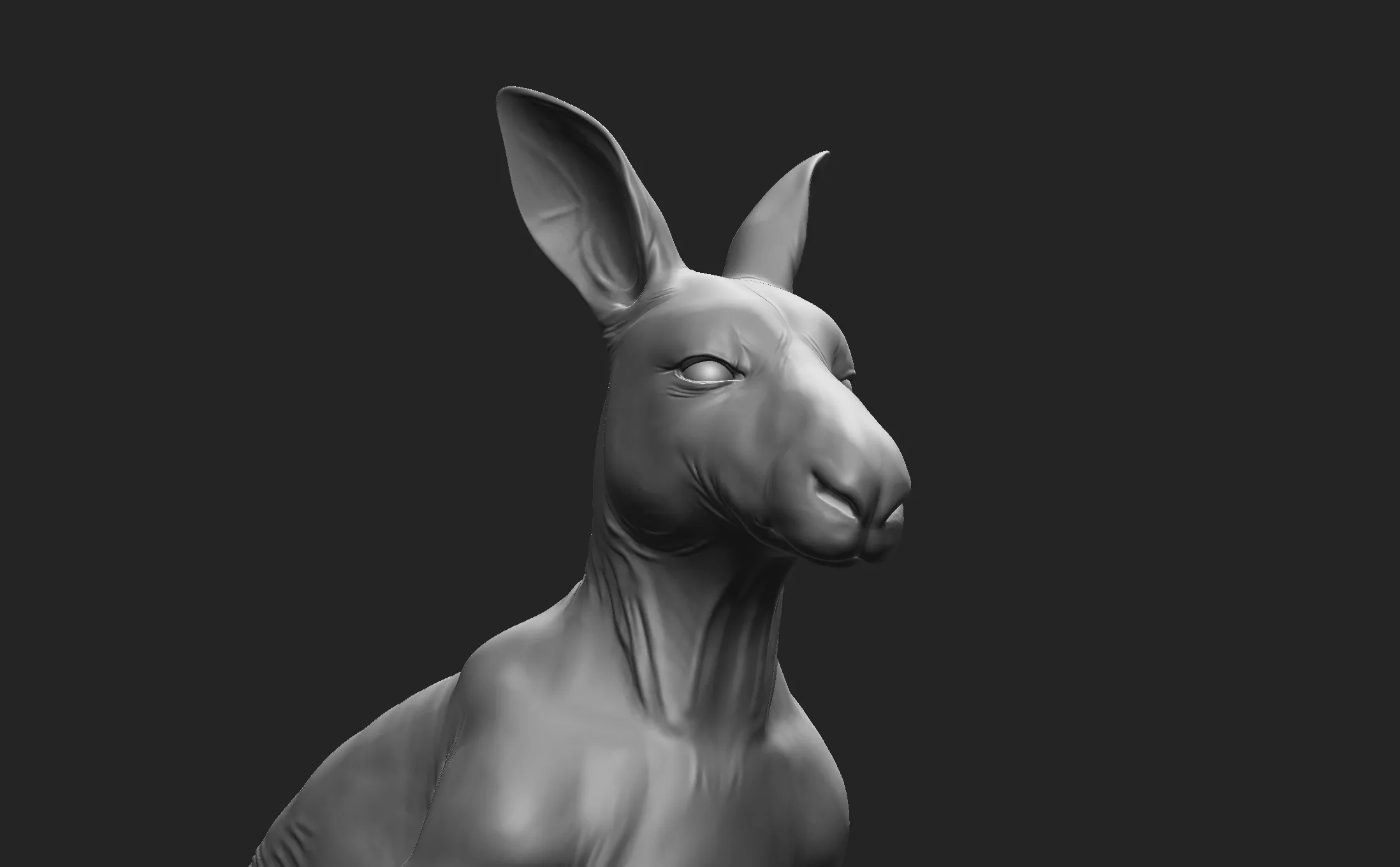 Kangaroo Family - Topology + UV Map