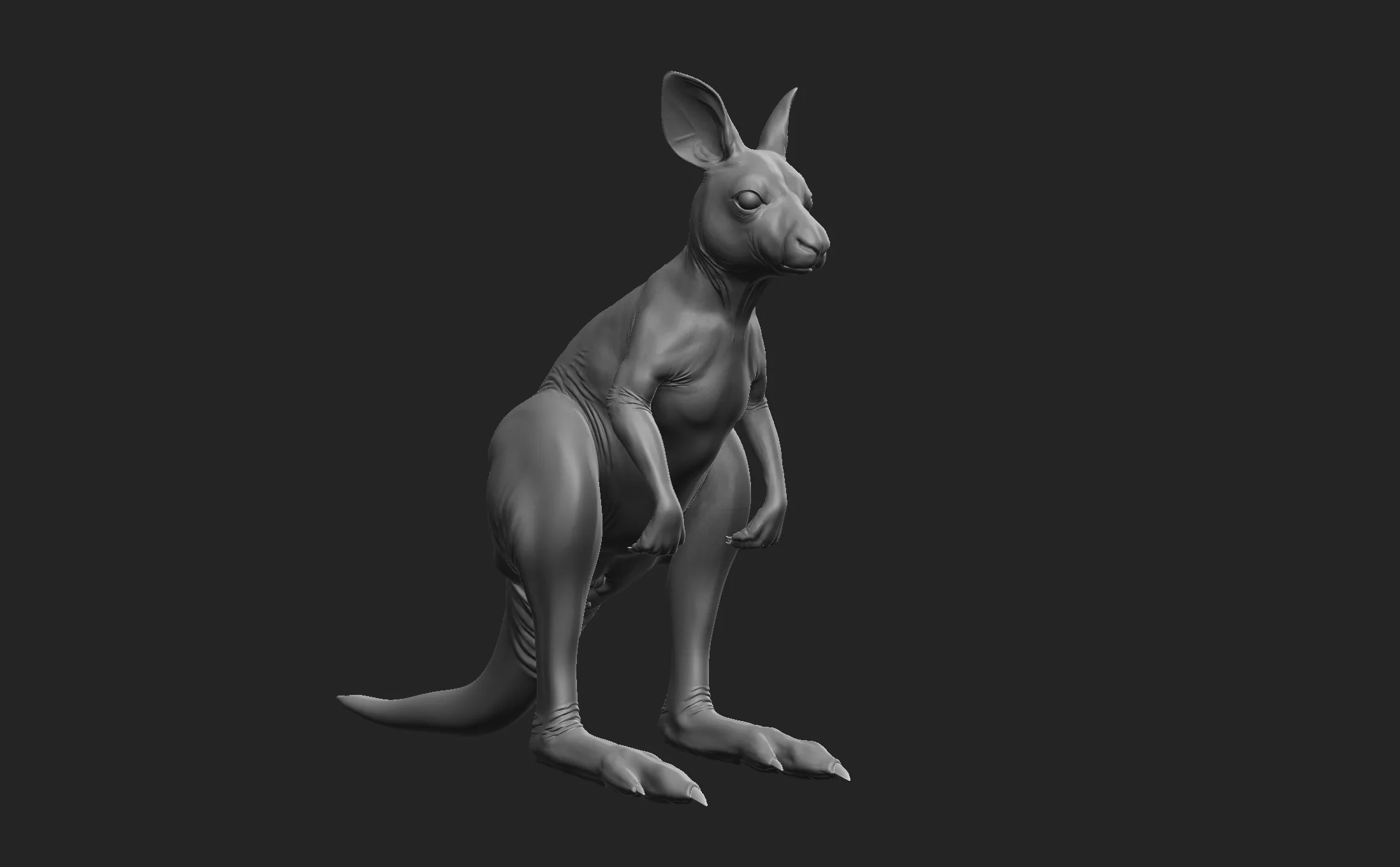 Kangaroo Family - Topology + UV Map