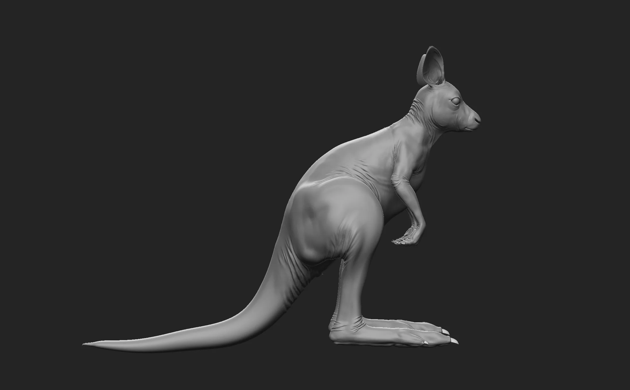 Kangaroo Family - Topology + UV Map