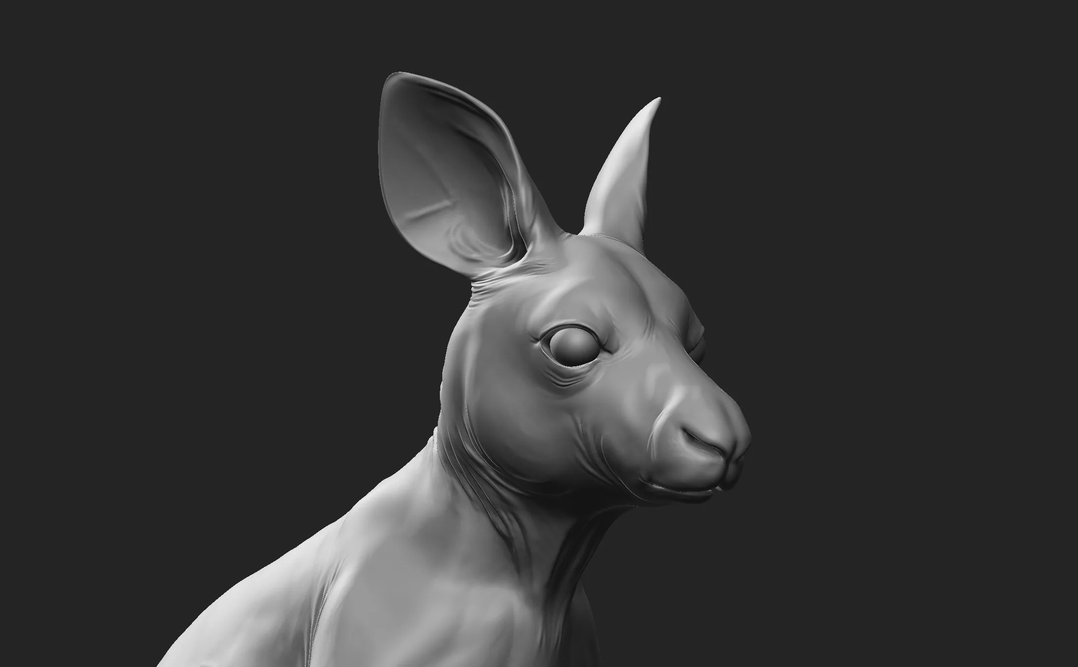 Kangaroo Family - Topology + UV Map