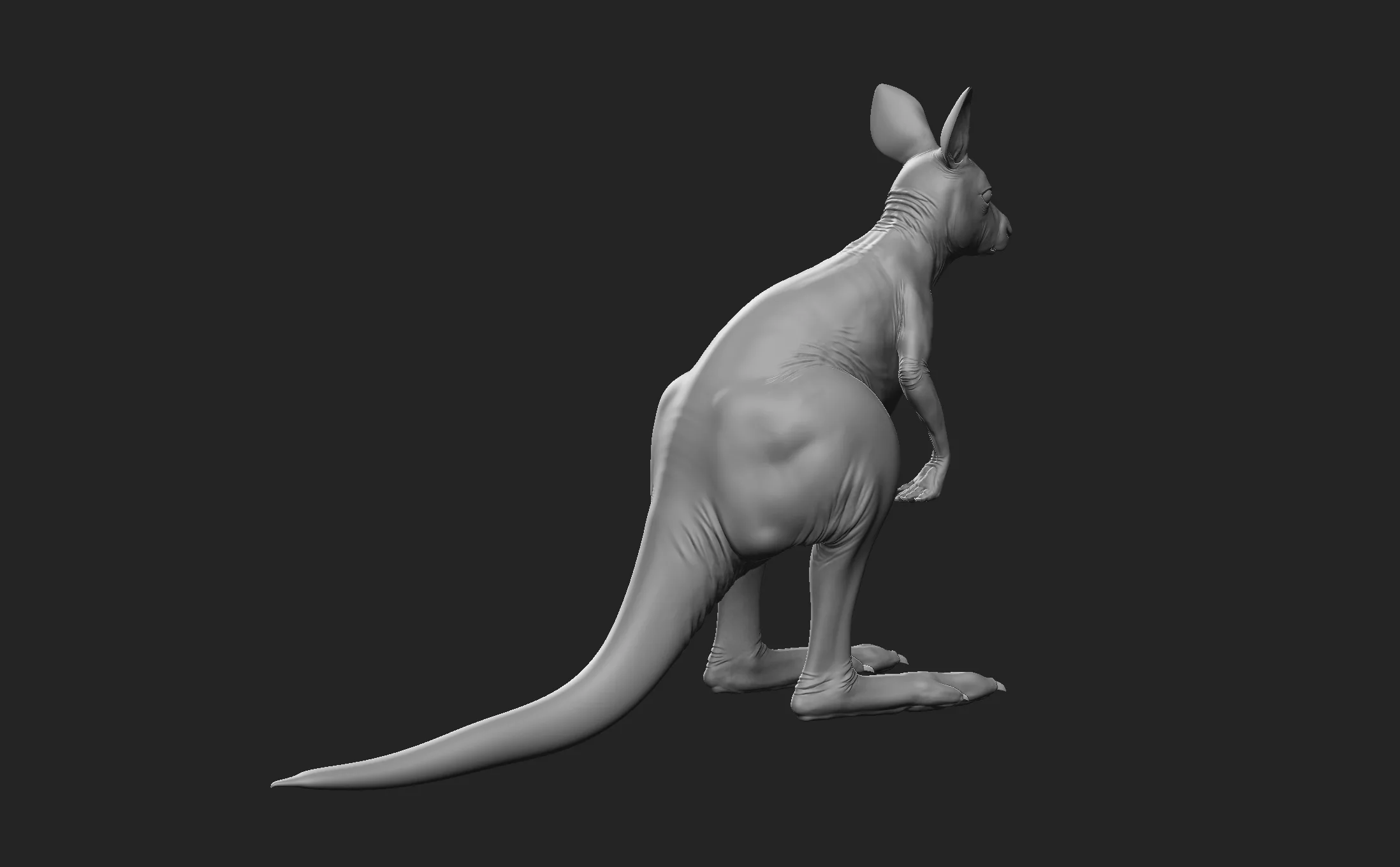 Kangaroo Family - Topology + UV Map