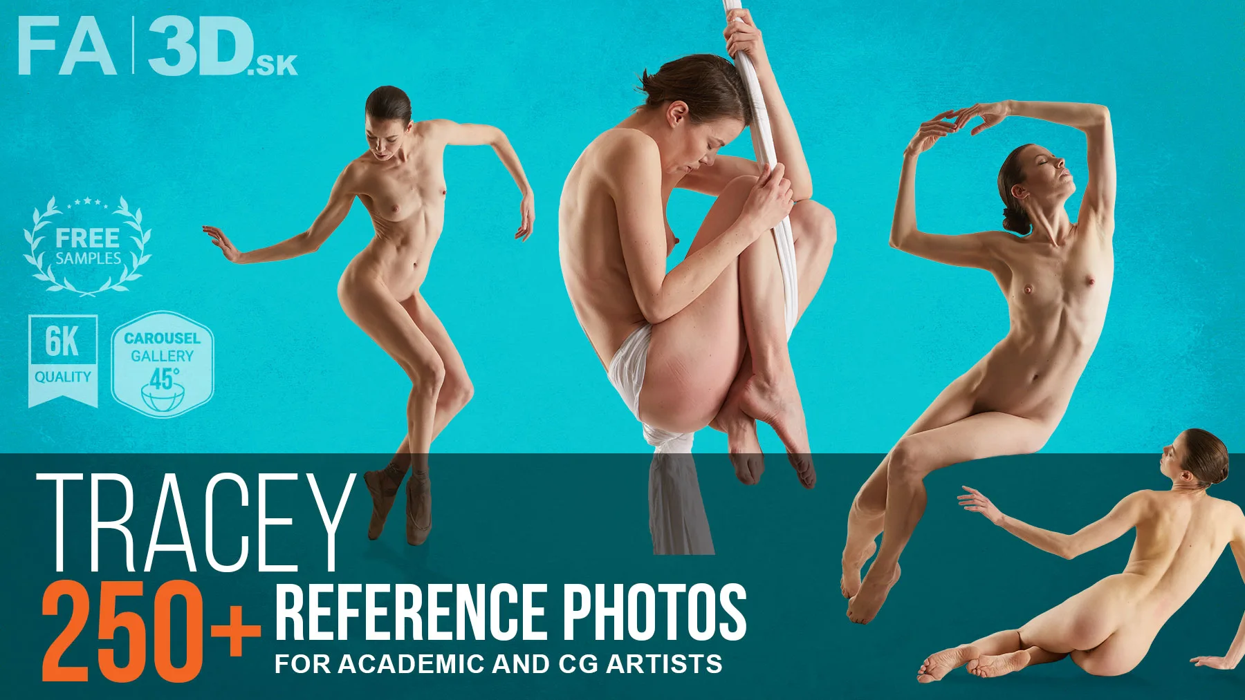 Female Anatomy | Tracey Art Poses | 250+ Reference Pictures