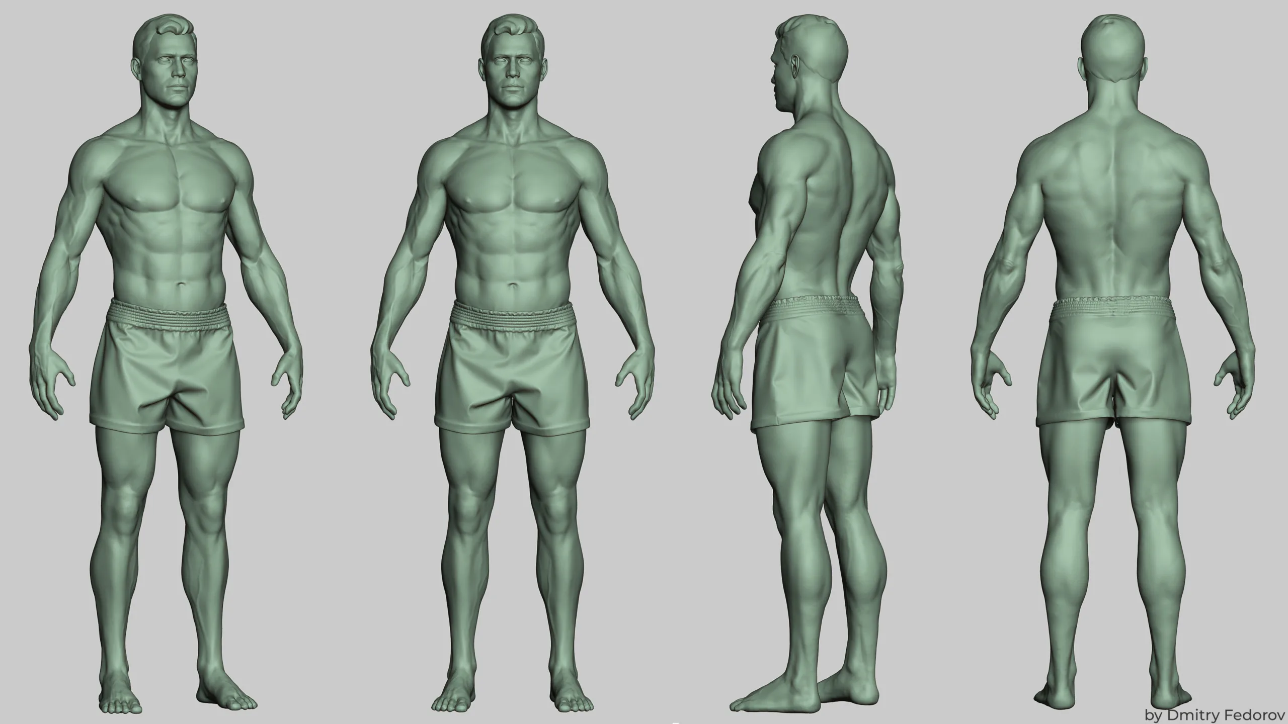 Male body Highpoly model Anatomy