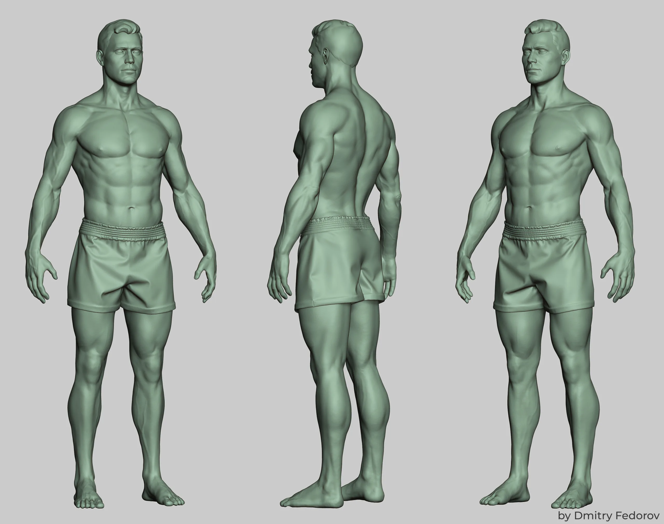 Male body Highpoly model Anatomy