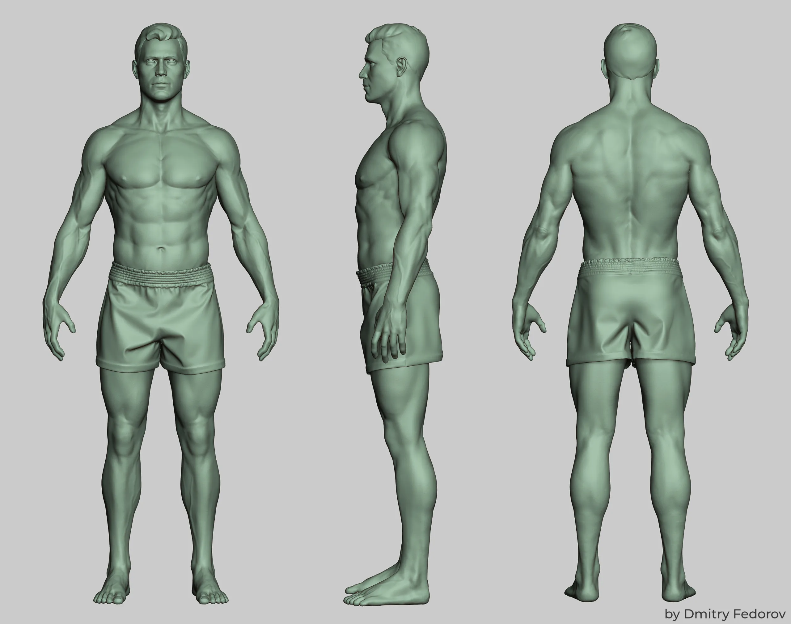 Male body Highpoly model Anatomy