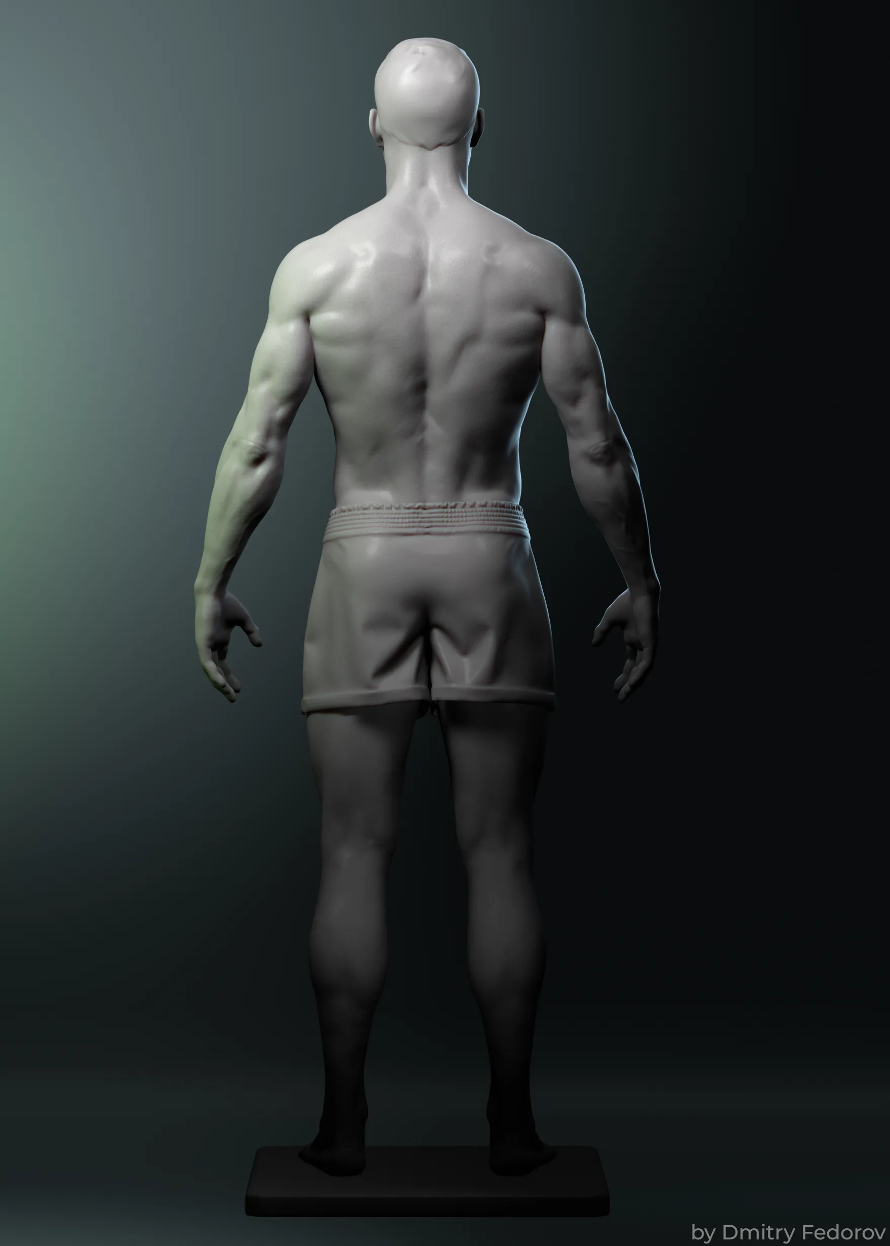 Male body Highpoly model Anatomy