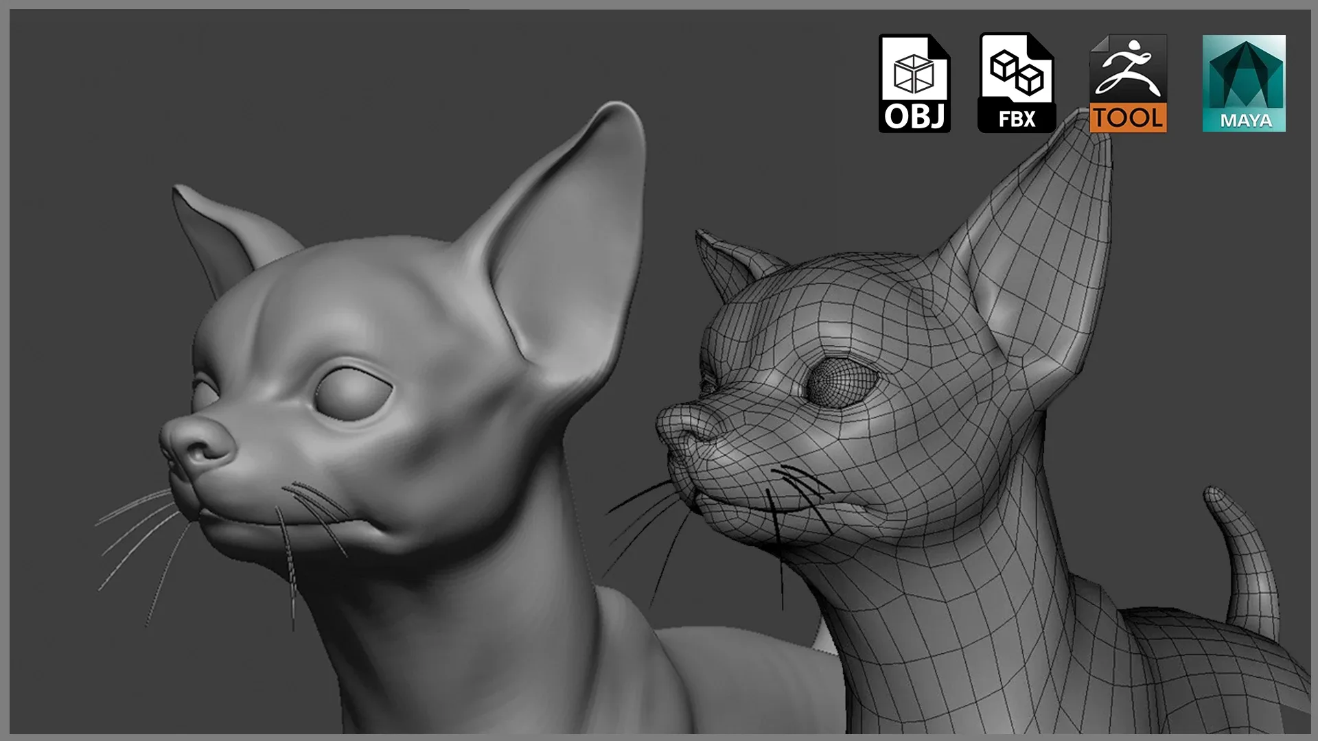 Chihuahua Dog - Topology + UV Map