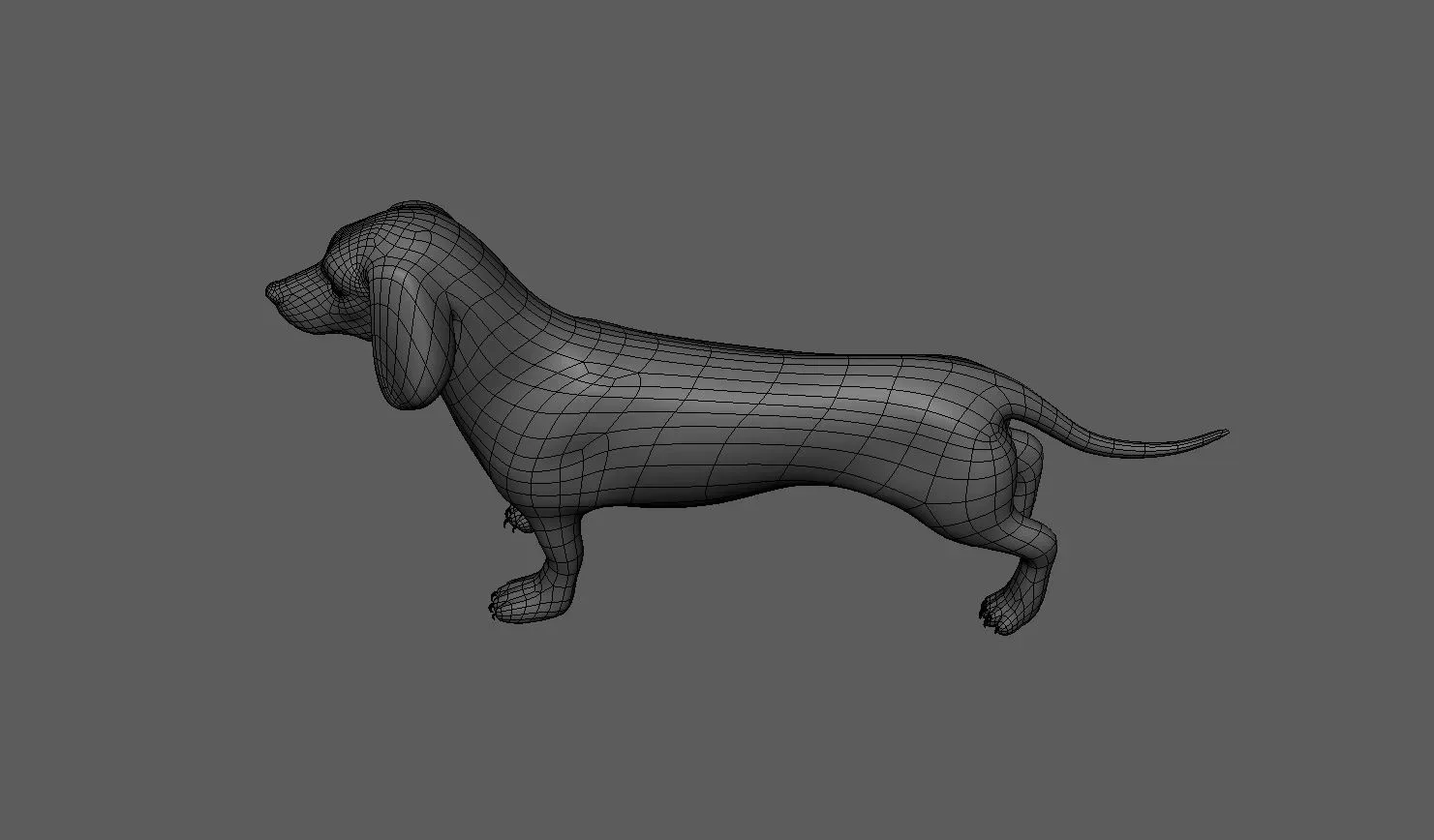 Dachshund Dog - Topology + UV Map