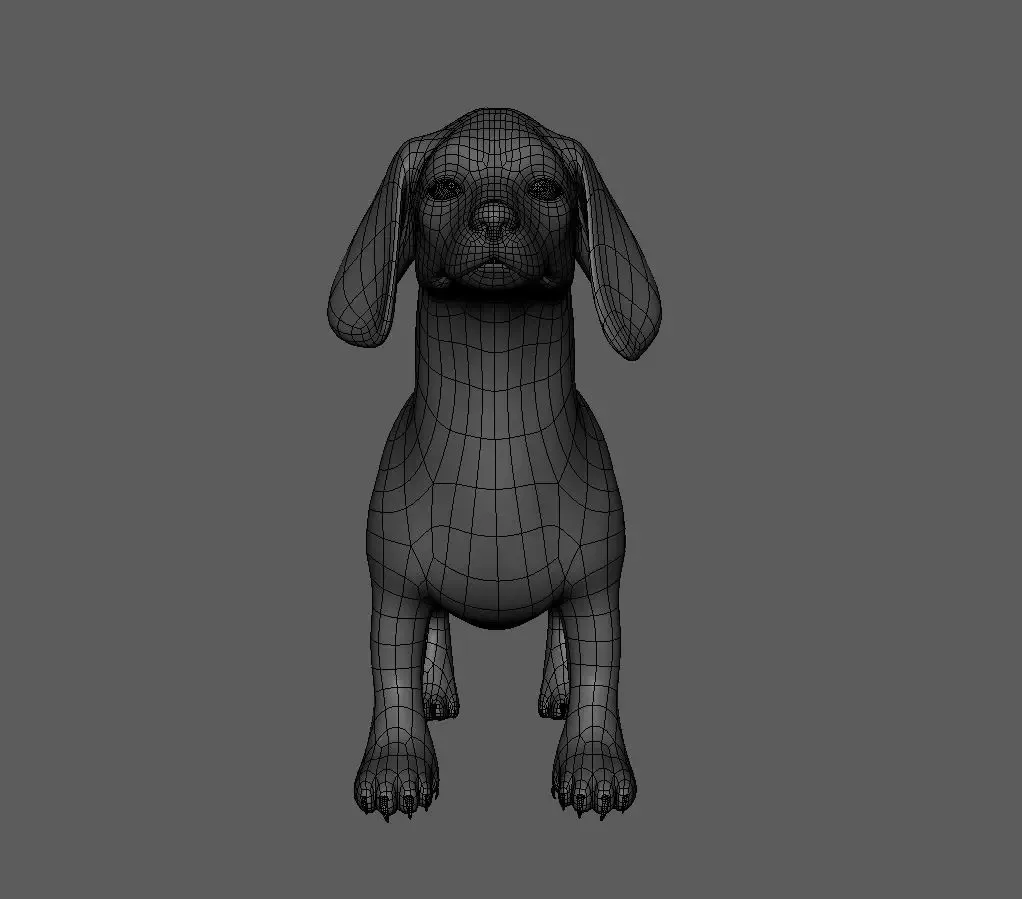 Dachshund Dog - Topology + UV Map