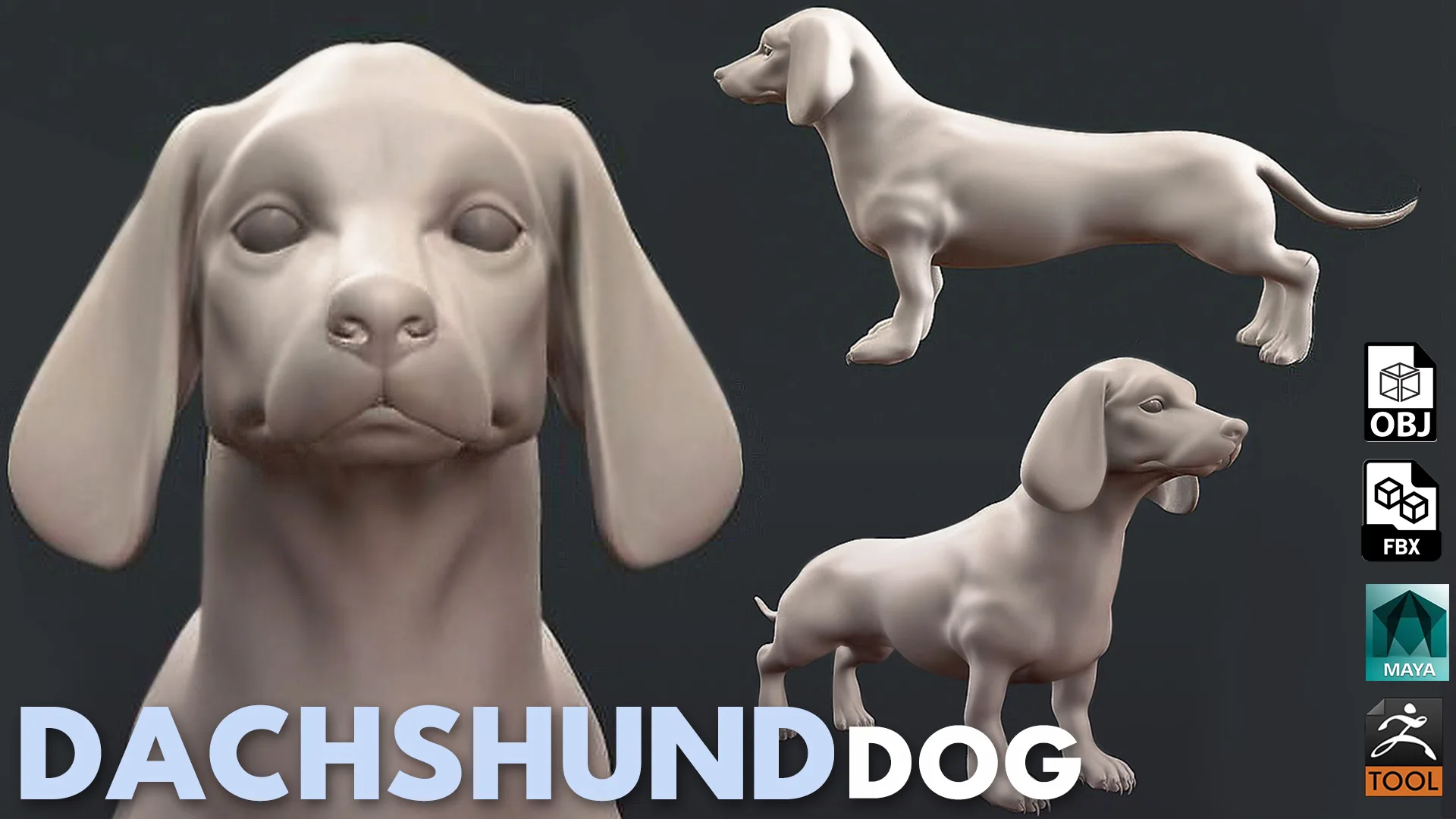 Dachshund Dog - Topology + UV Map