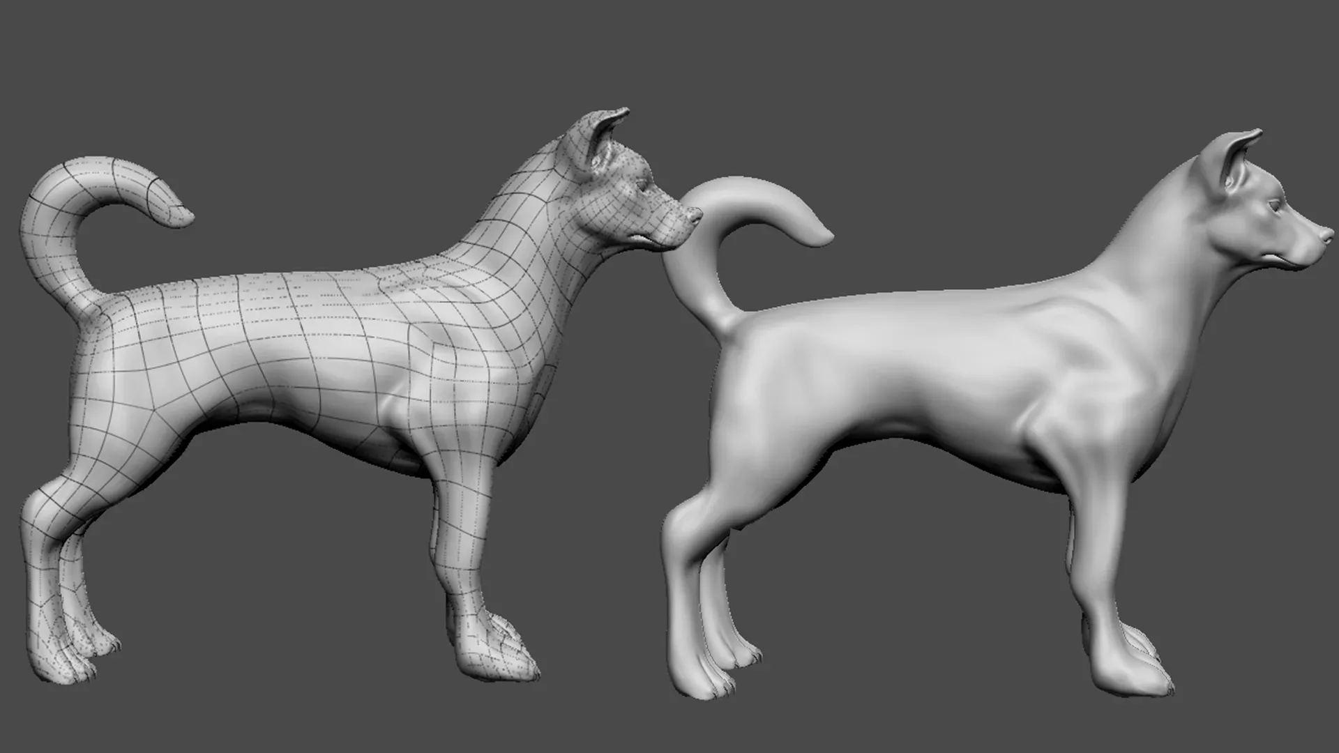 Street Dog - Topology + UV Map