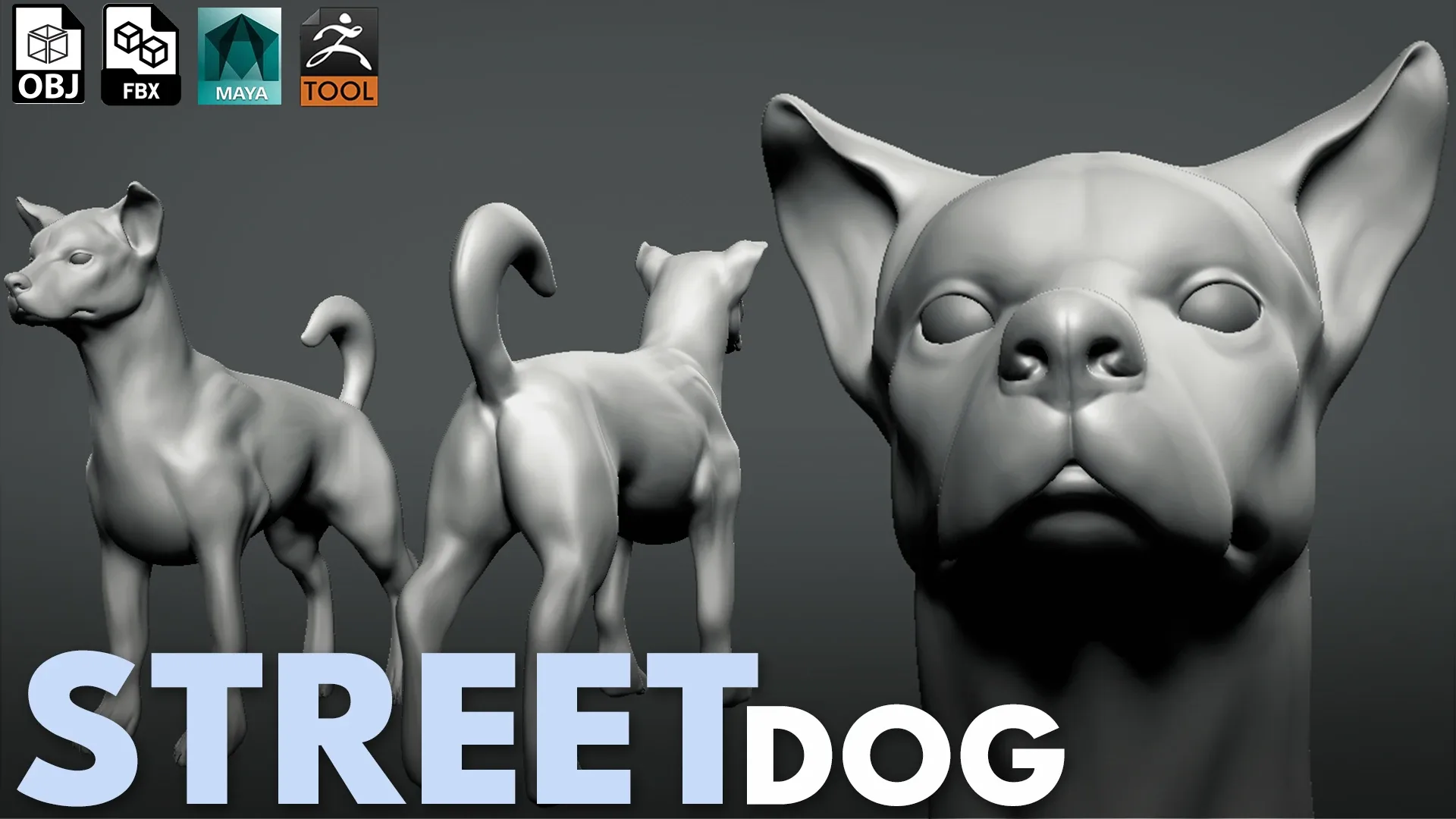 Street Dog - Topology + UV Map