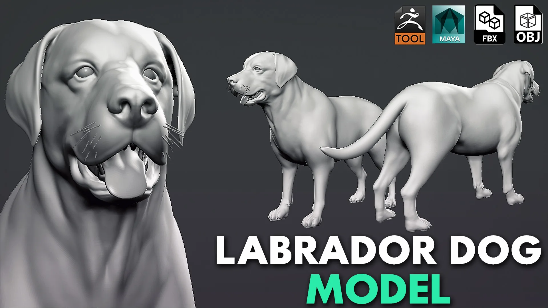 High poly Dog pack - Topology + UV Map