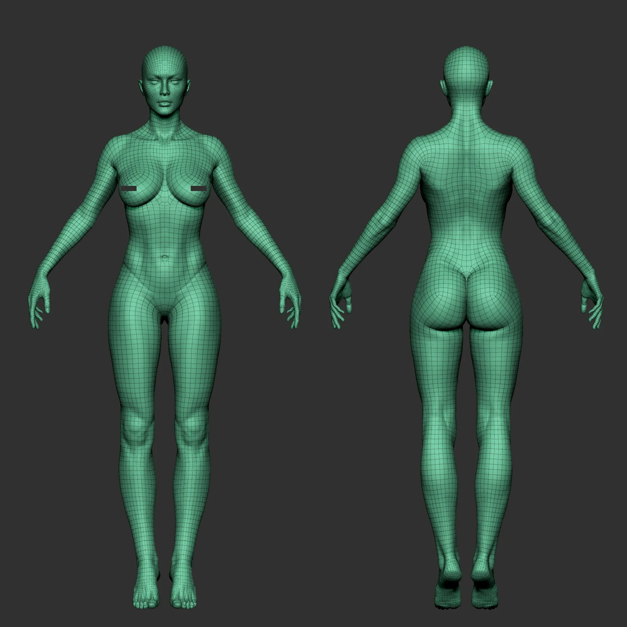 Highpoly Female  Basemesh Sculpted in Zbrush