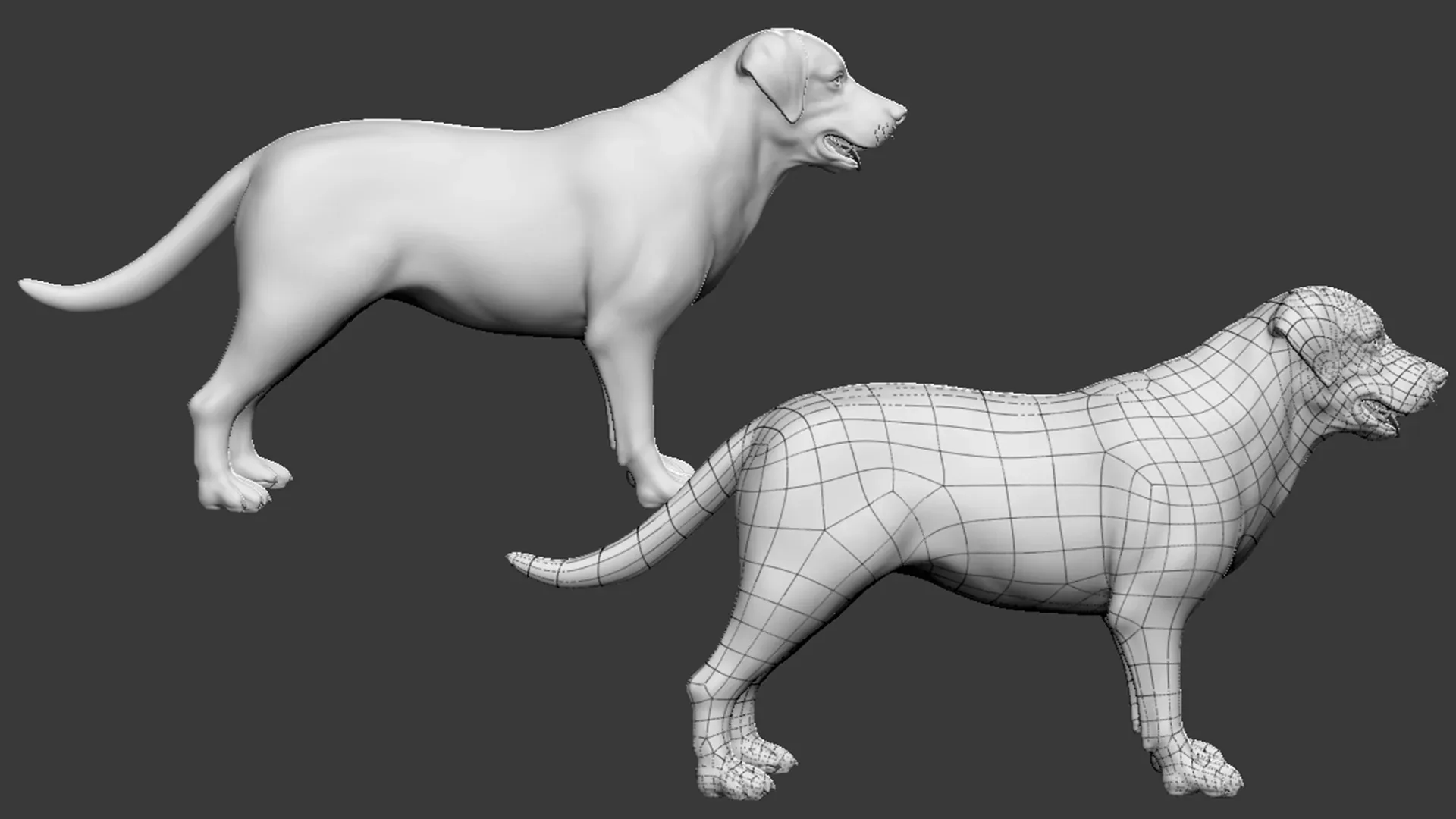 High poly Dog pack - Topology + UV Map