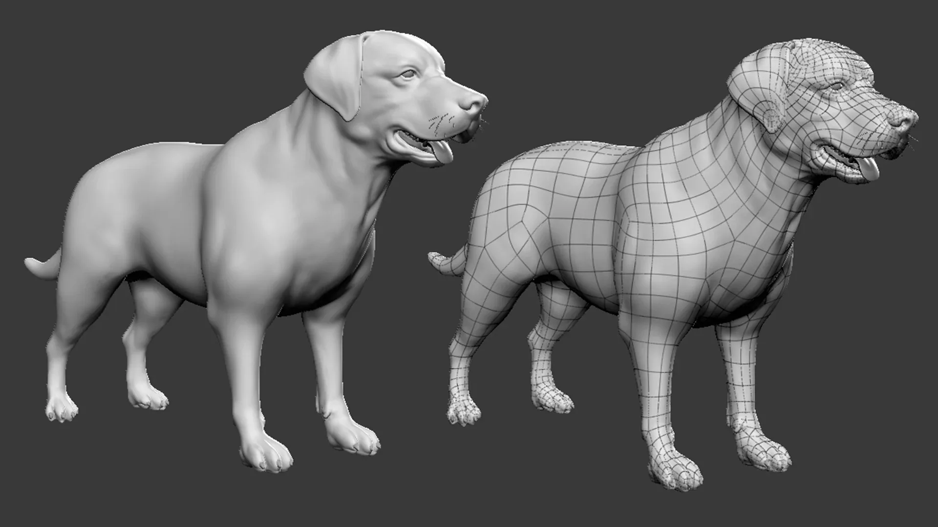 High poly Dog pack - Topology + UV Map