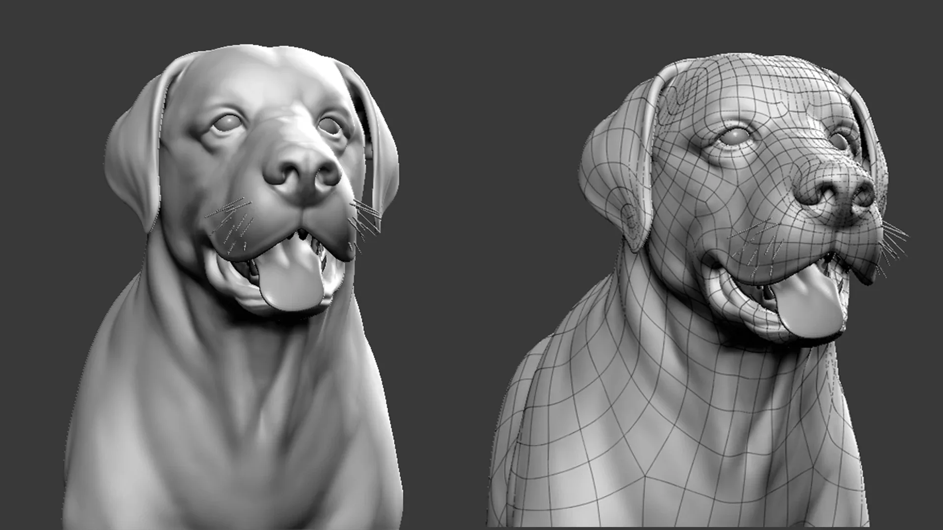 High poly Dog pack - Topology + UV Map