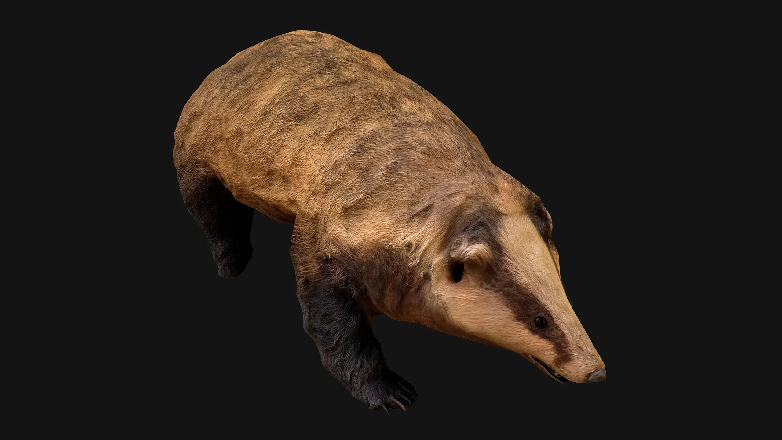 Badger