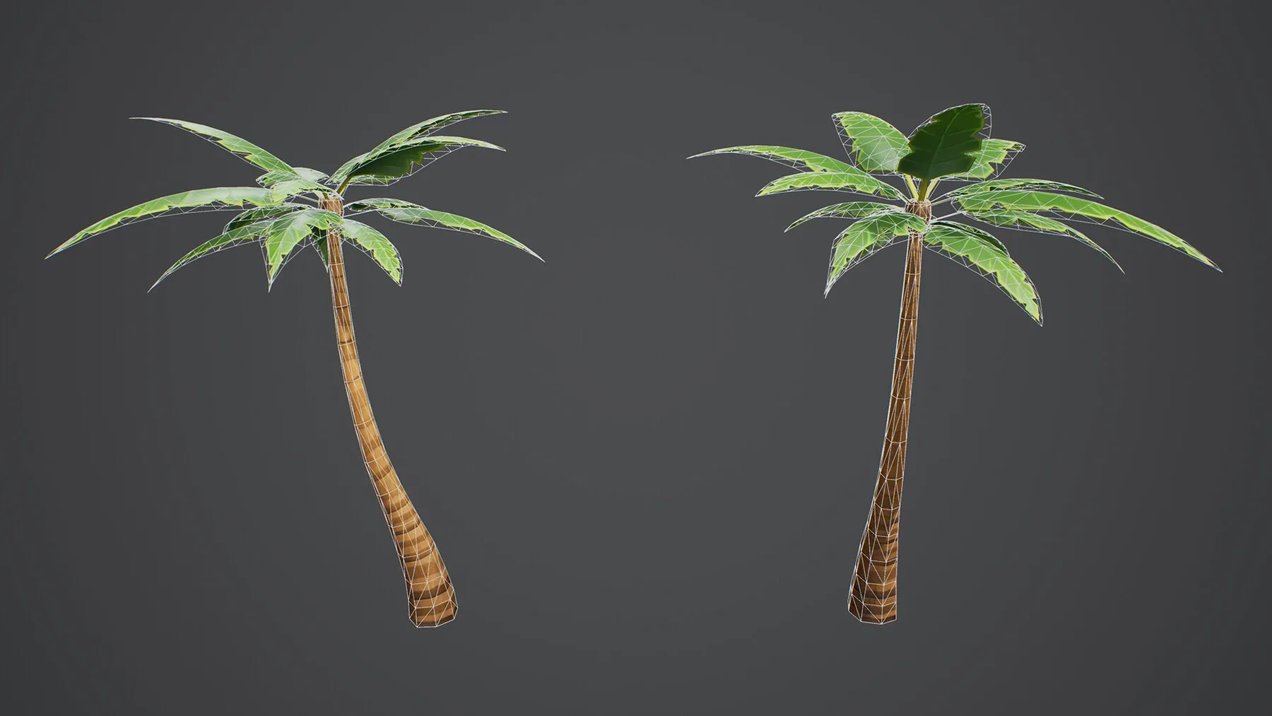 Stylized Palm Tree 01