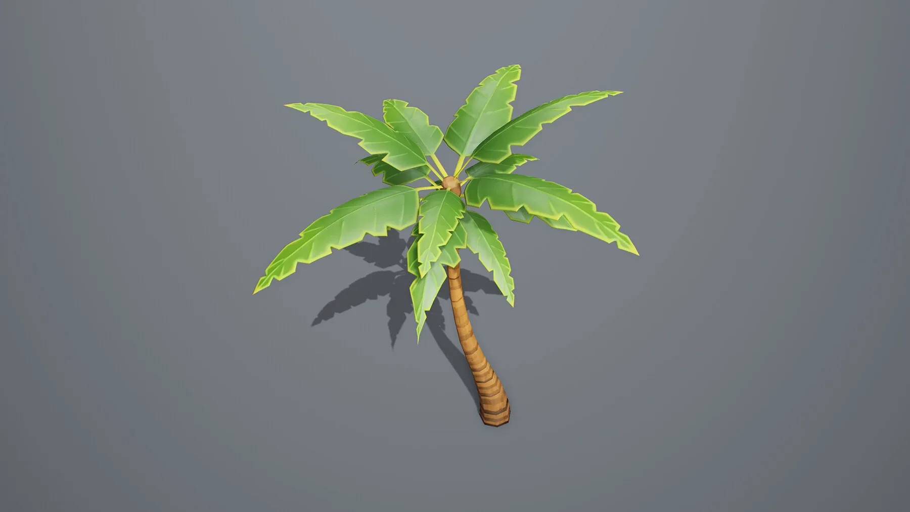 Stylized Palm Tree 01