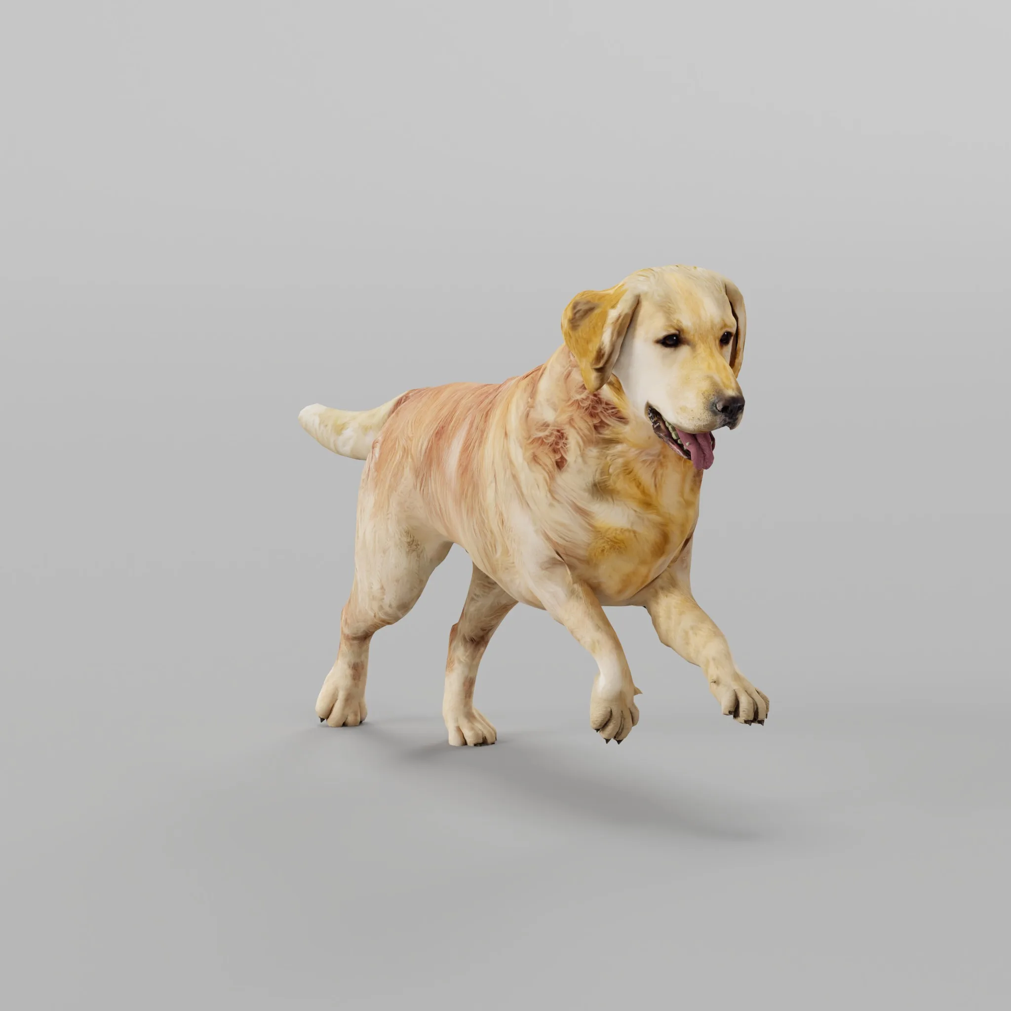 Golden Retriever FlippedNormals