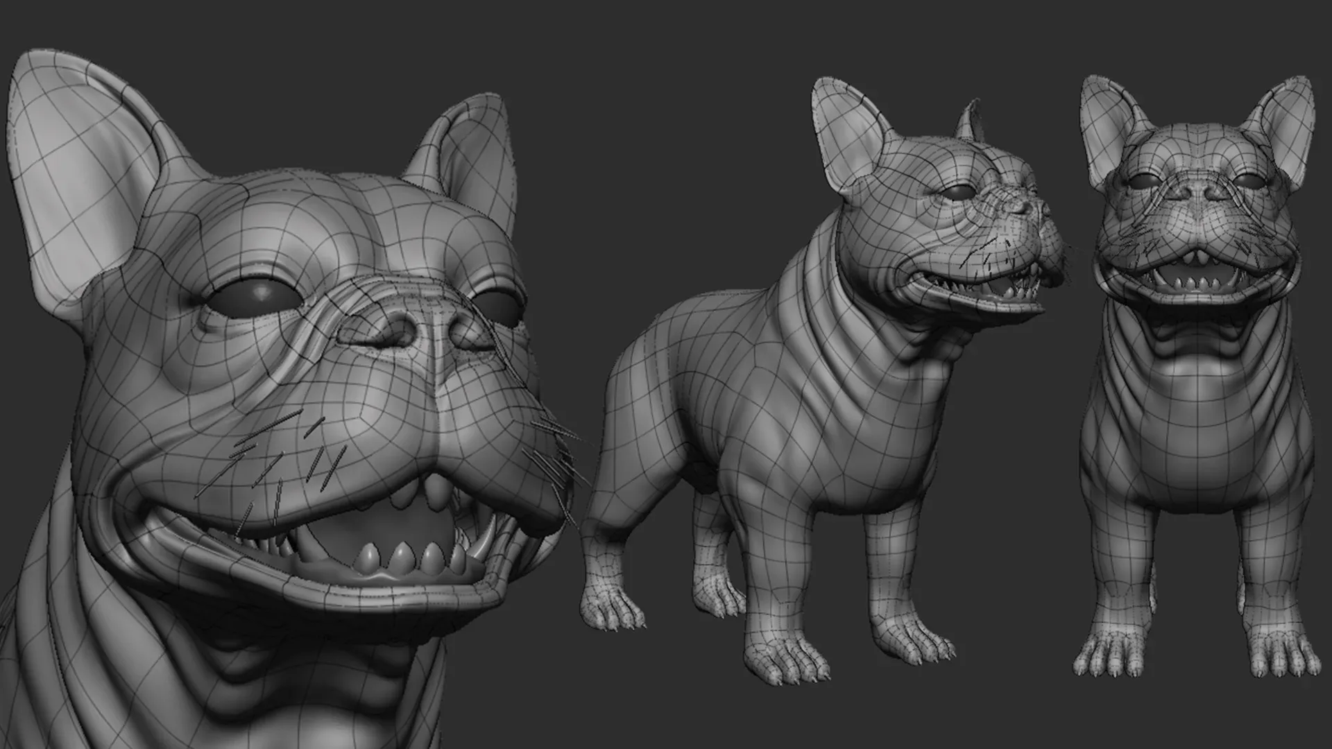 French Bulldog -Topology + UV Map