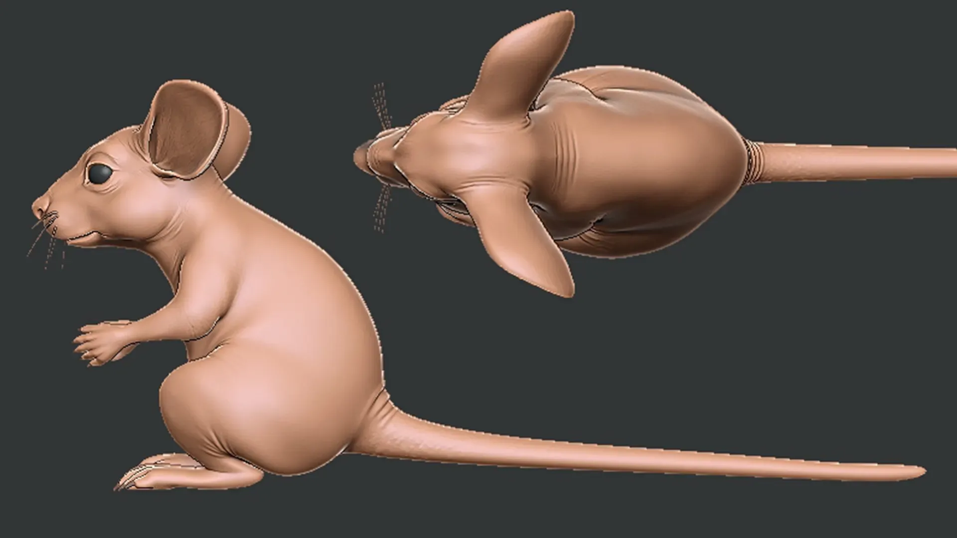 Mouse - Topology + UV Map