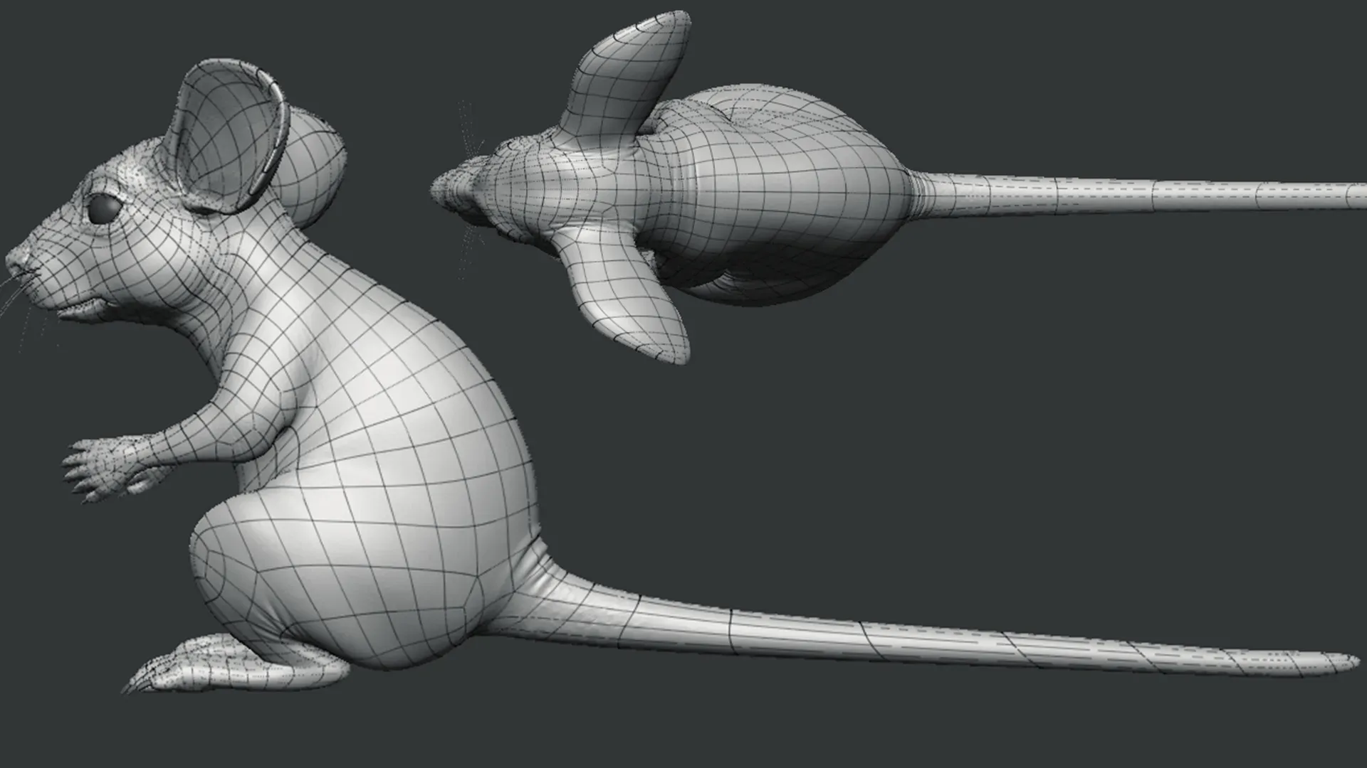 Mouse - Topology + UV Map