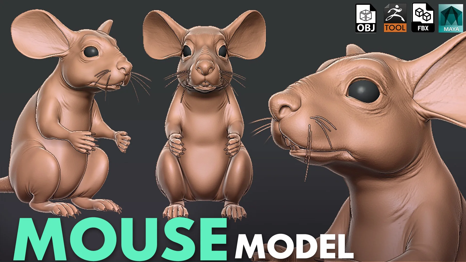 Mouse - Topology + UV Map