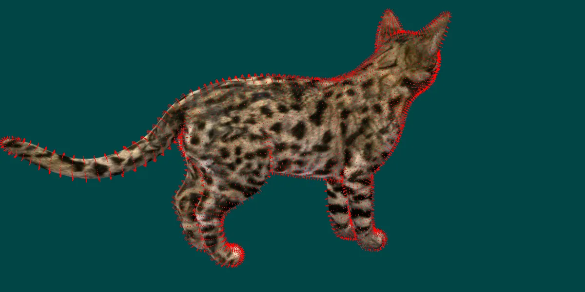 Black Spotted Cat