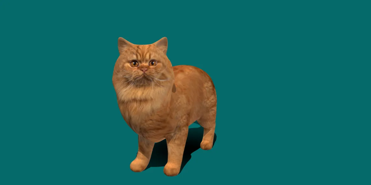 Orange Persian Cat