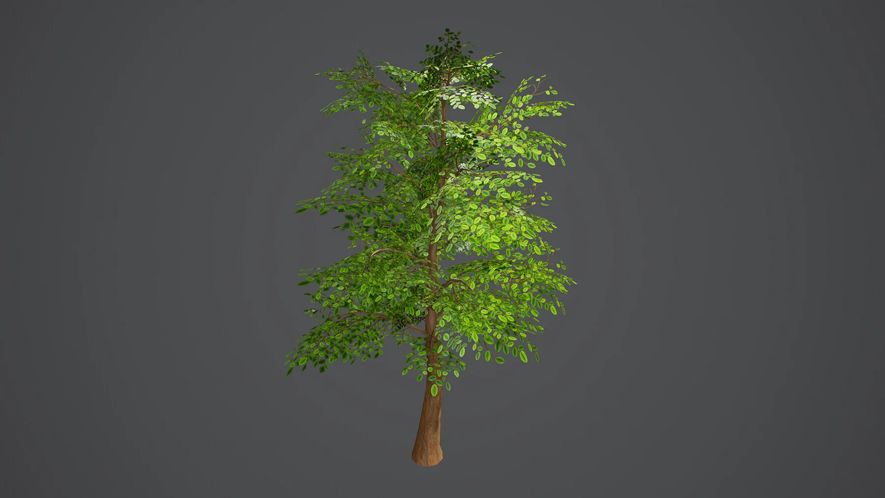 Stylized Tree