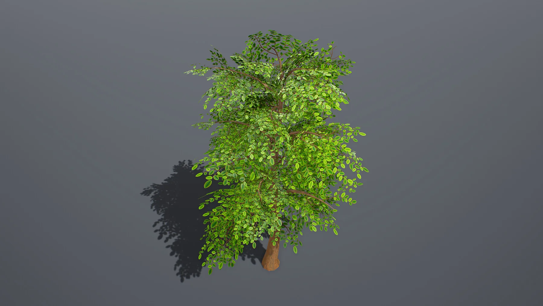 Stylized Tree