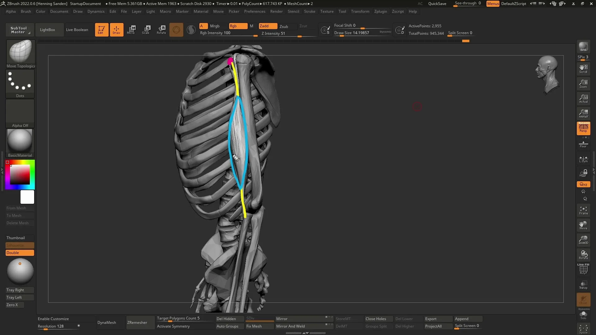 Introduction to Anatomy