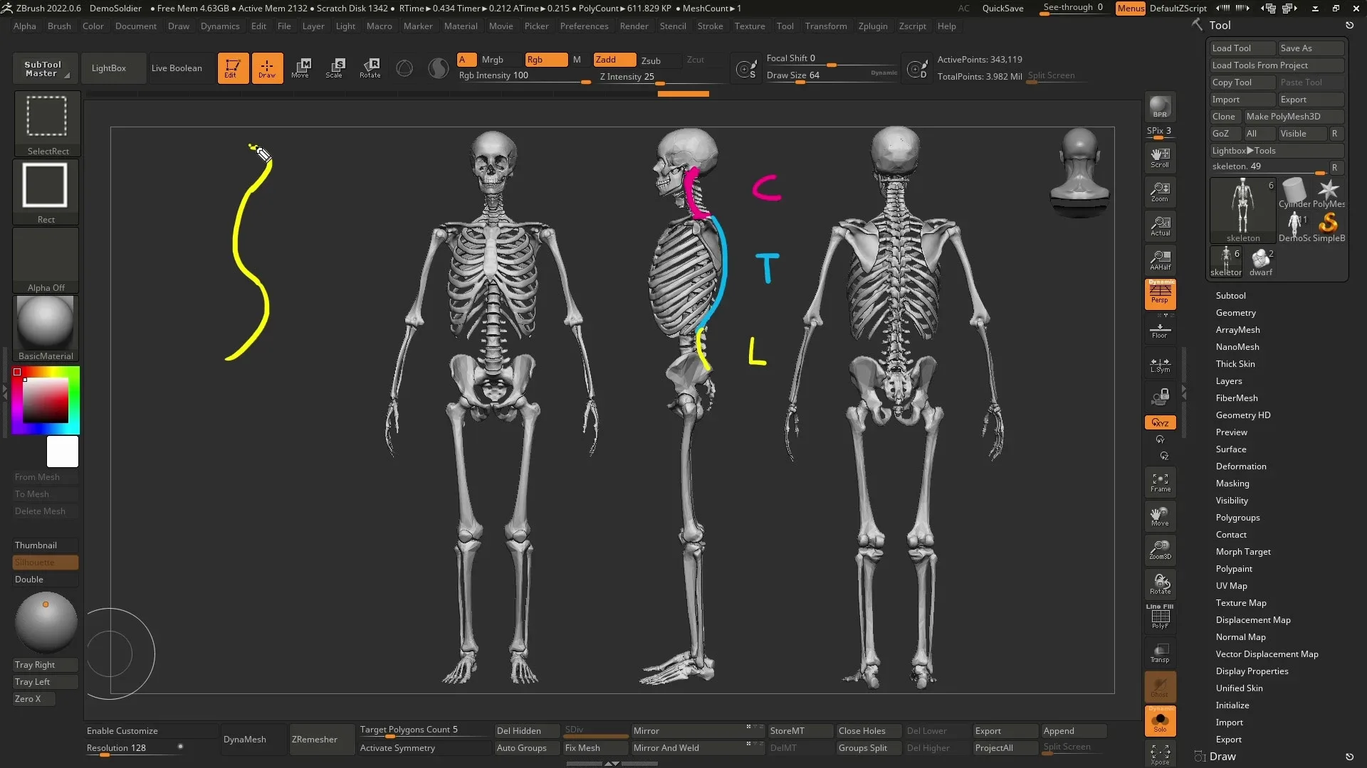 Introduction to Anatomy