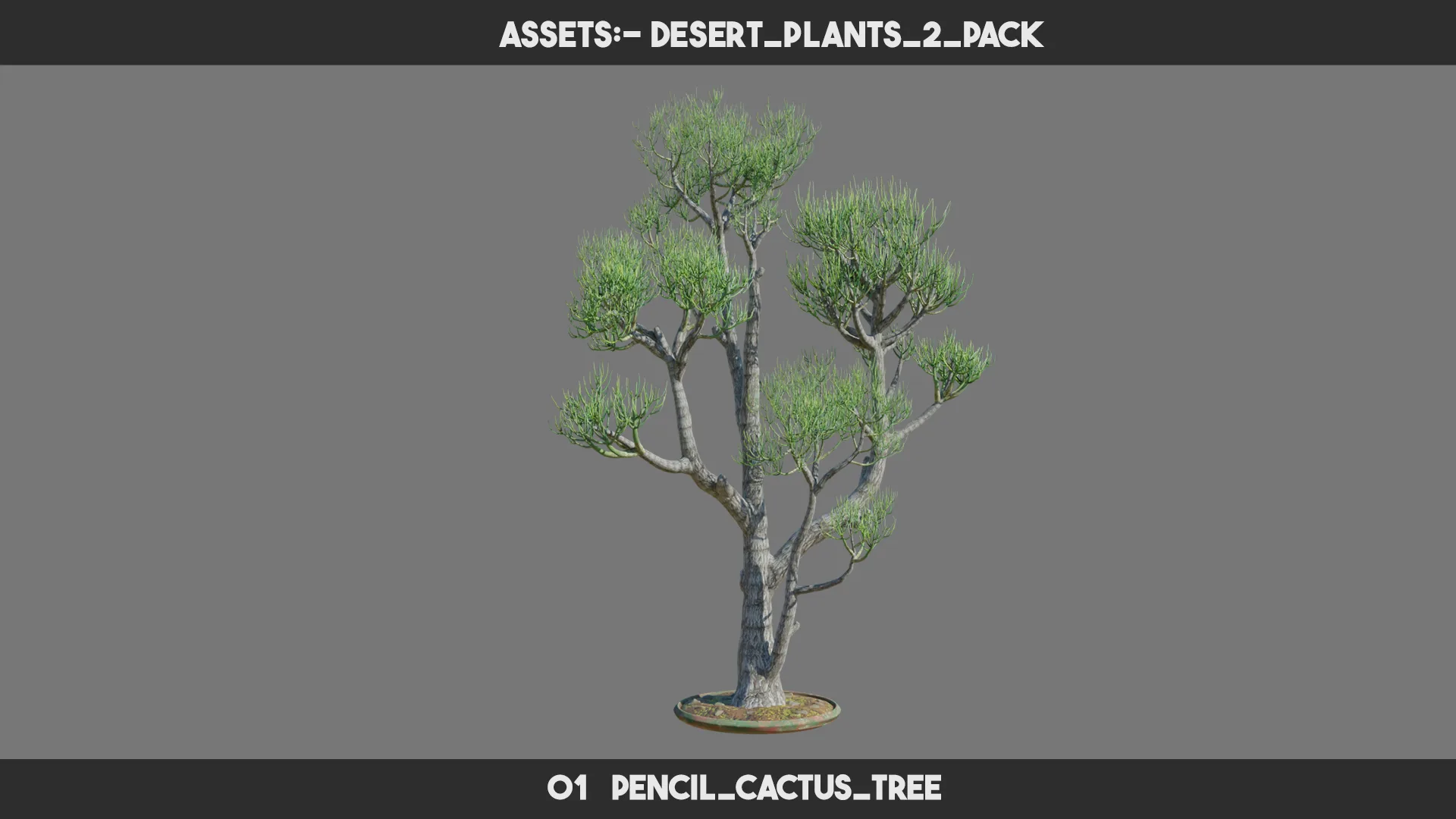 Desert Plants 2 PACK