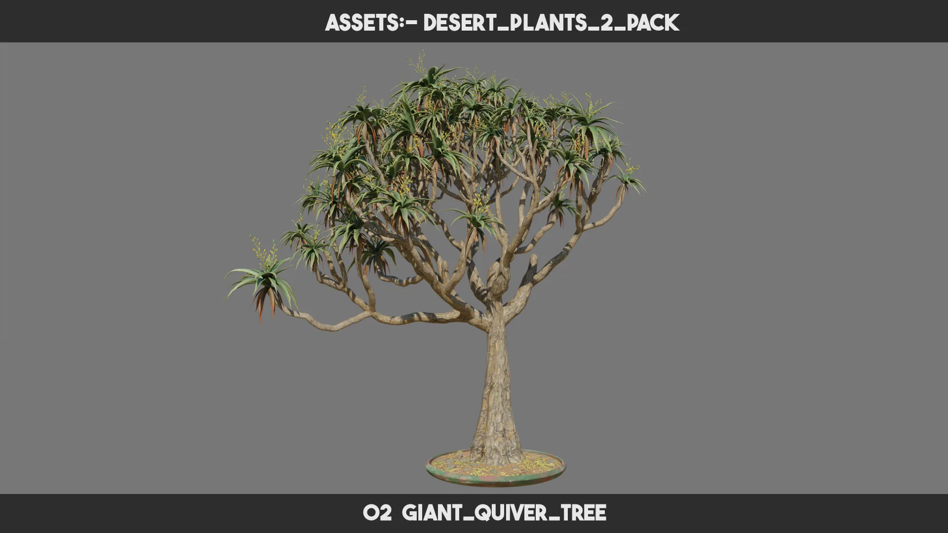 Desert Plants 2 PACK