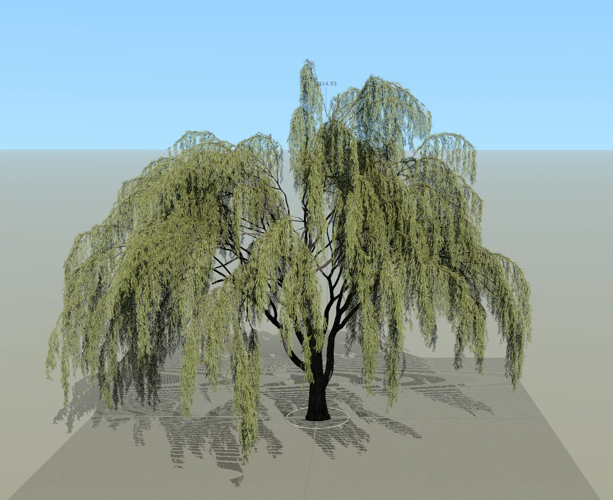 Babylonica Tree (3D Model)